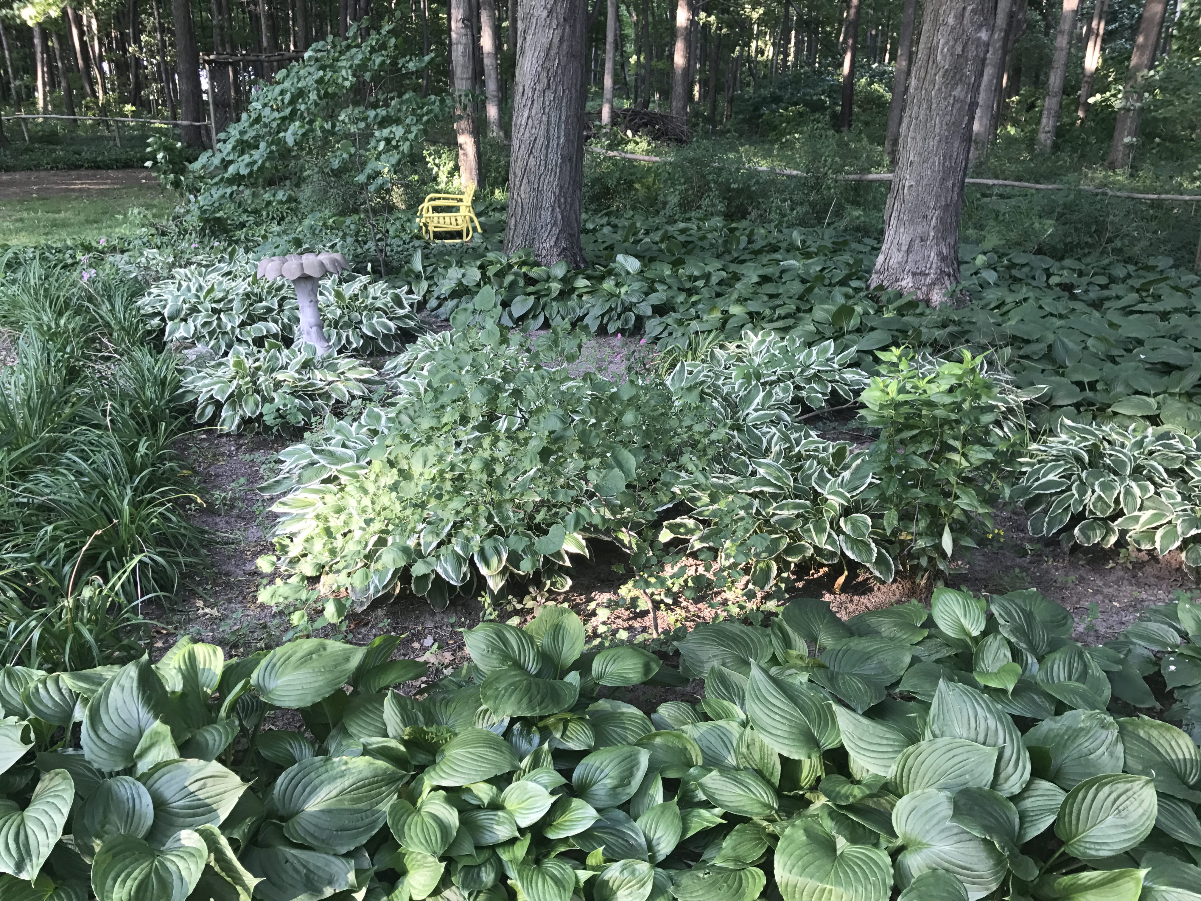 Real Estate Pictures