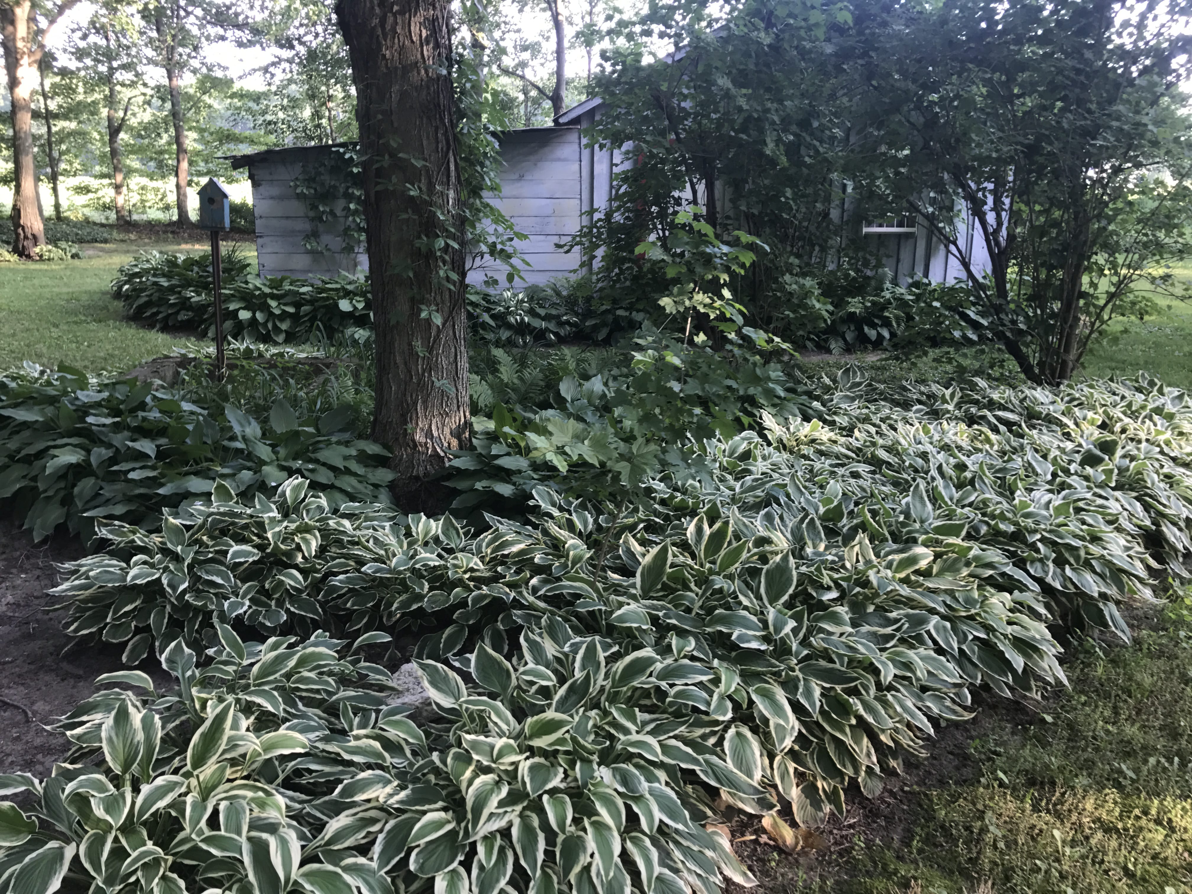 Real Estate Pictures