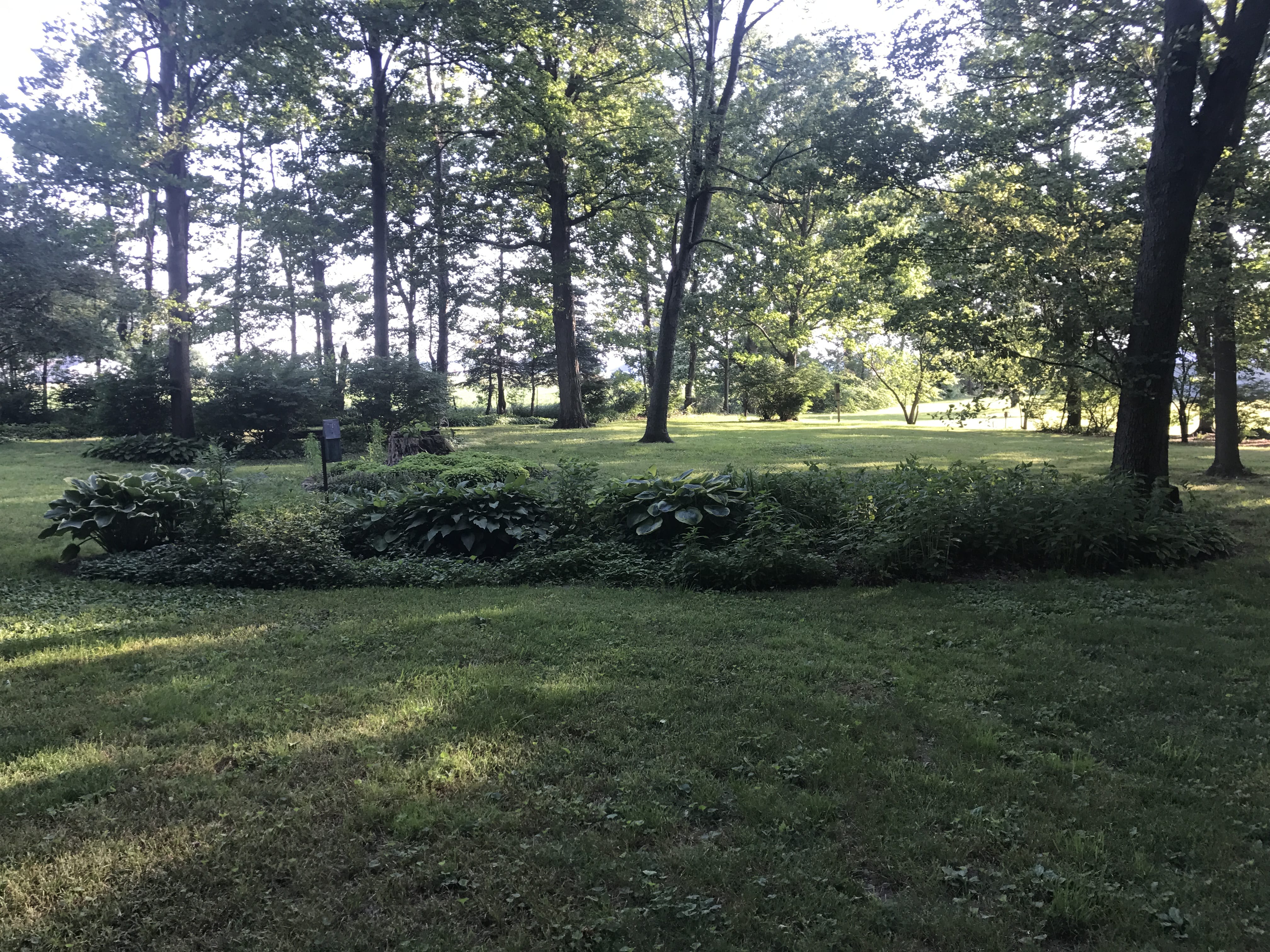 Real Estate Pictures