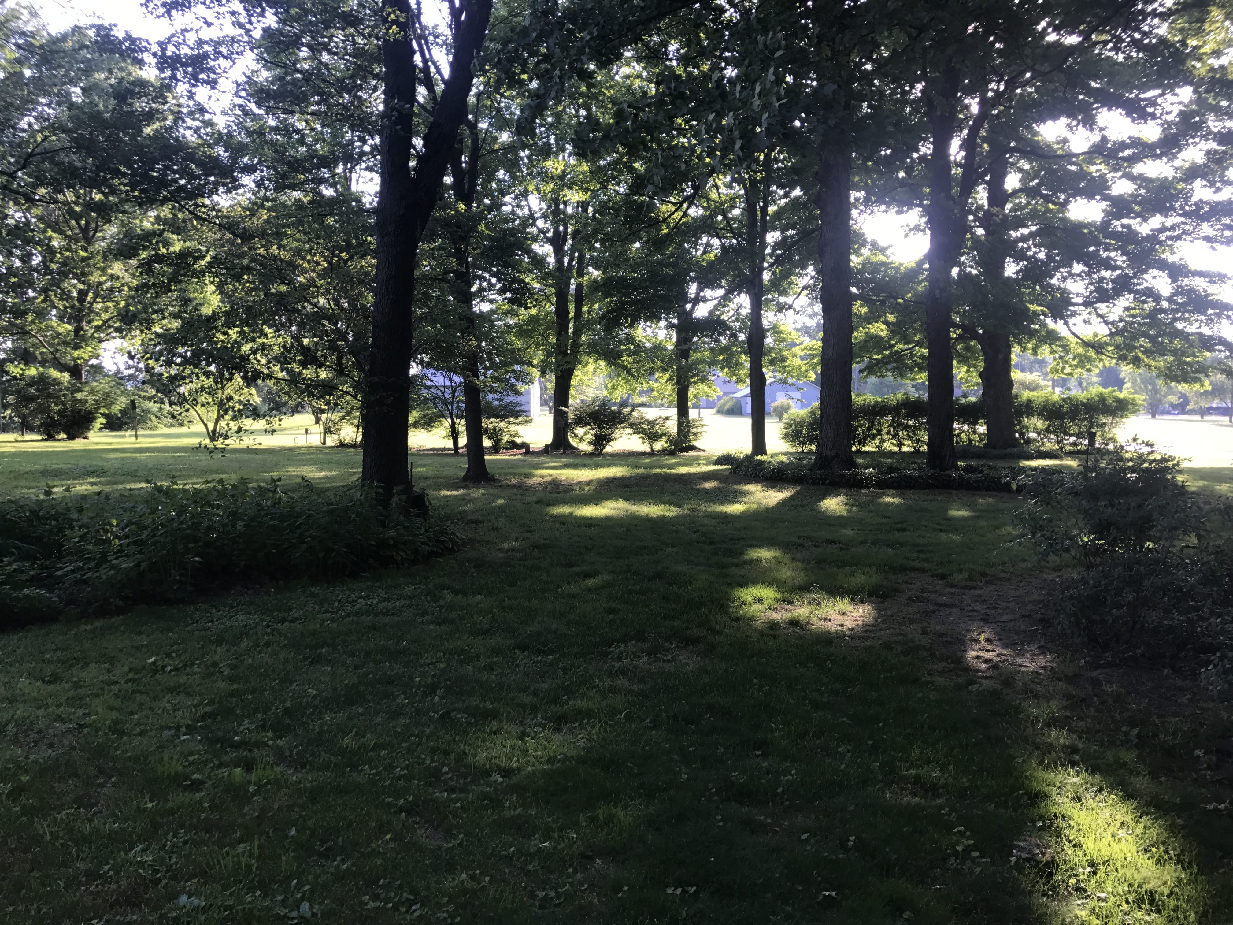 Real Estate Pictures