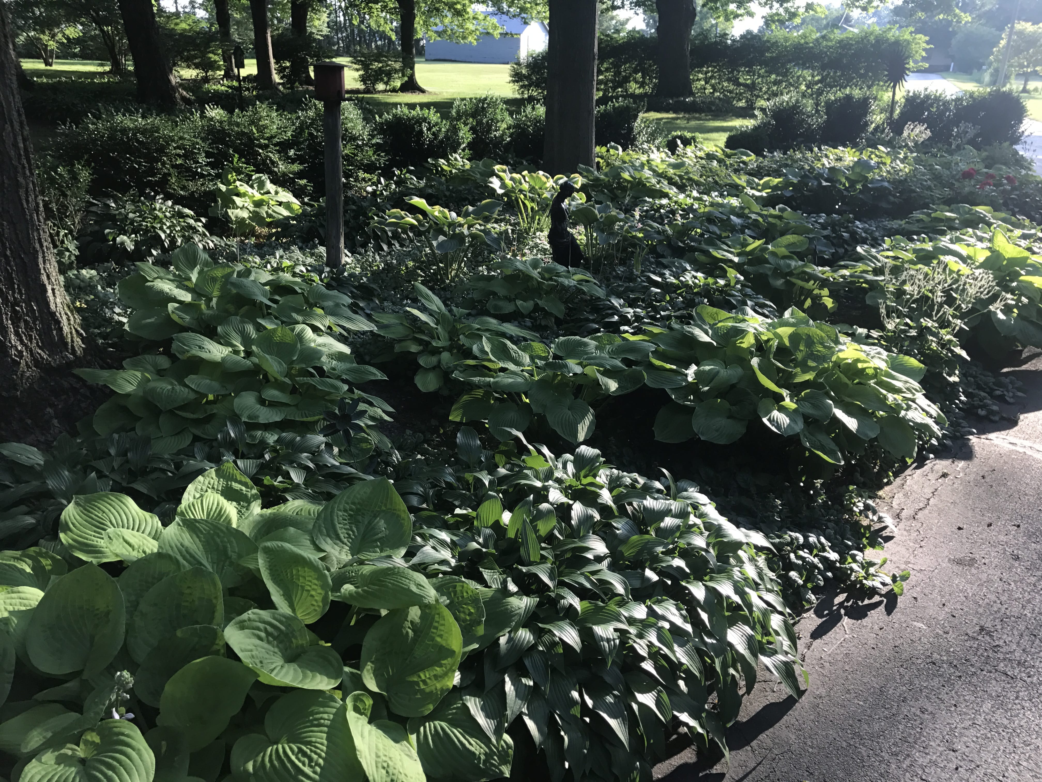 Real Estate Pictures