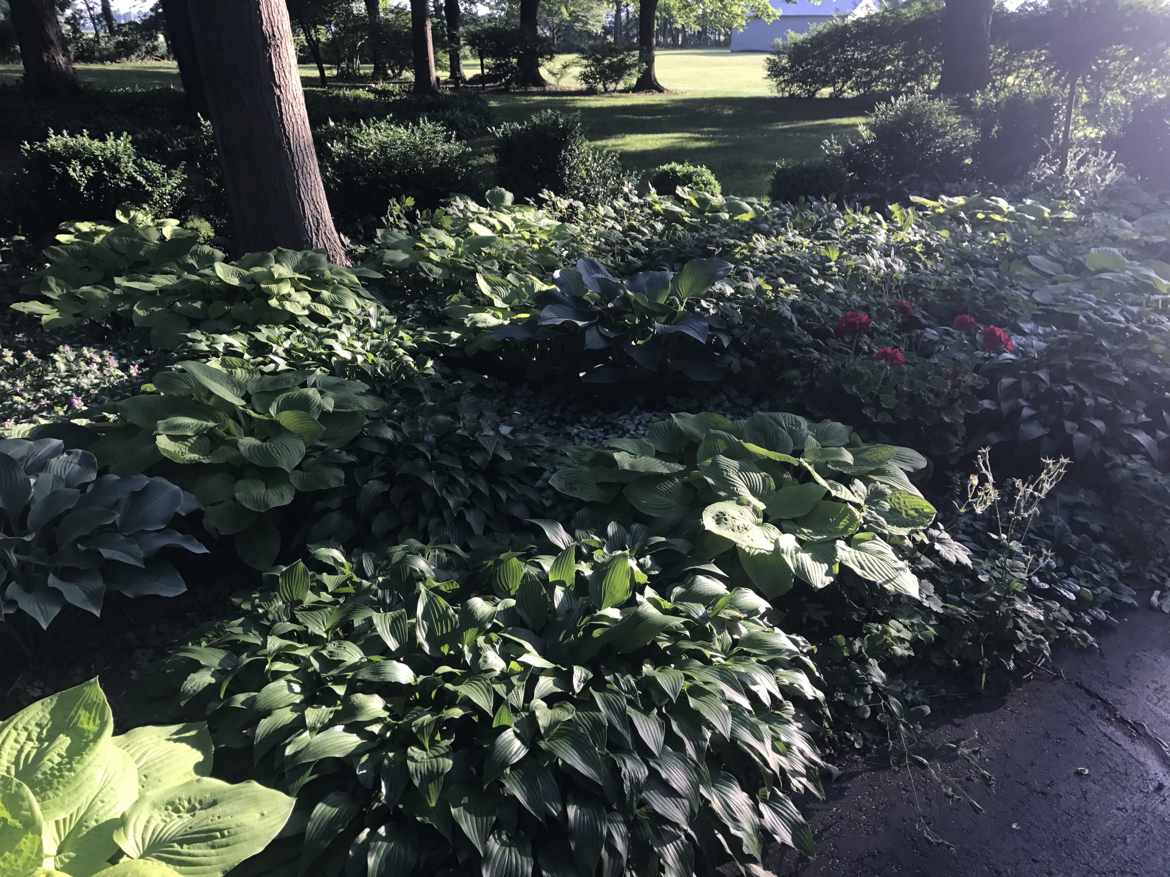 Real Estate Pictures