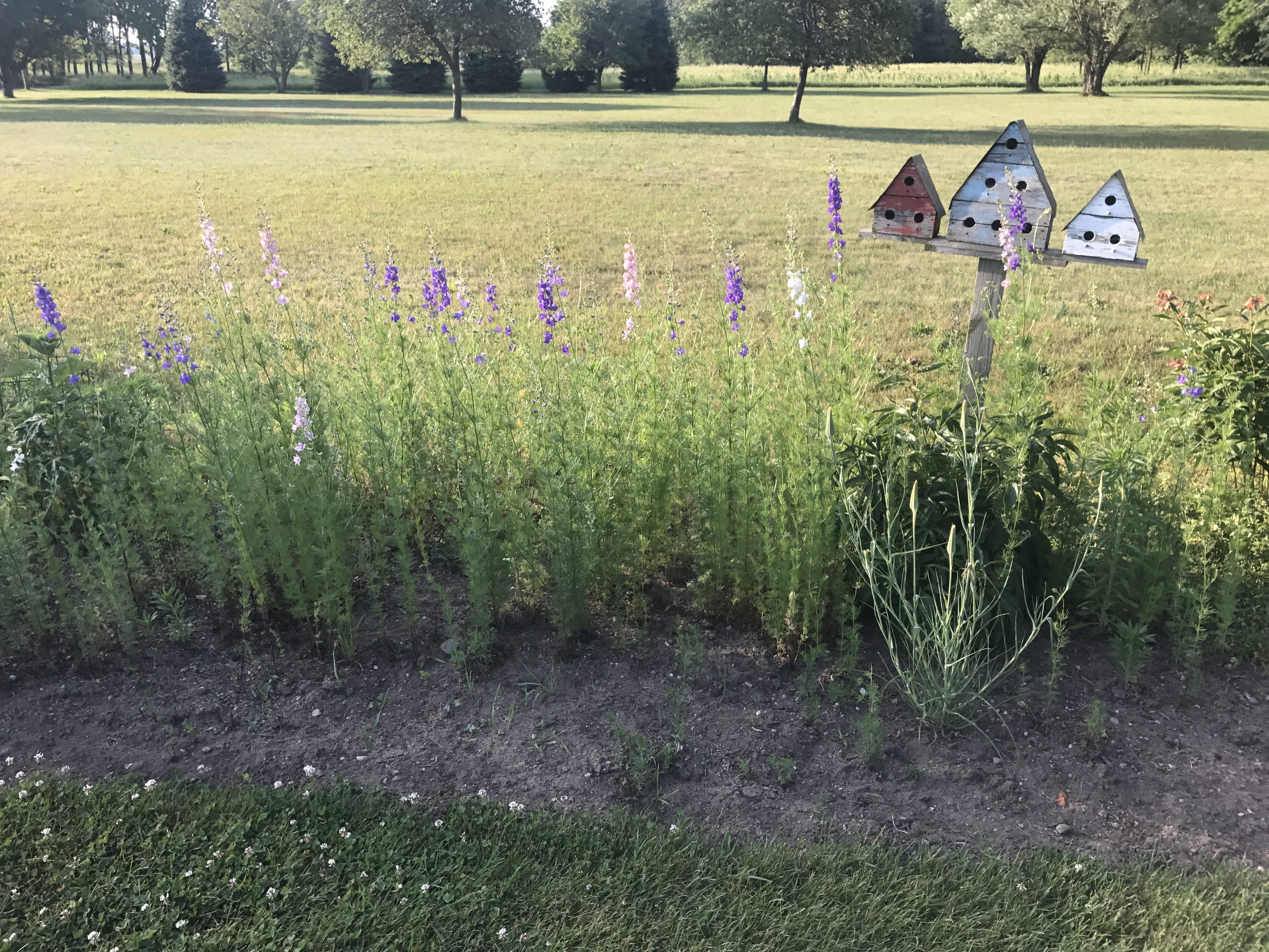 Real Estate Pictures