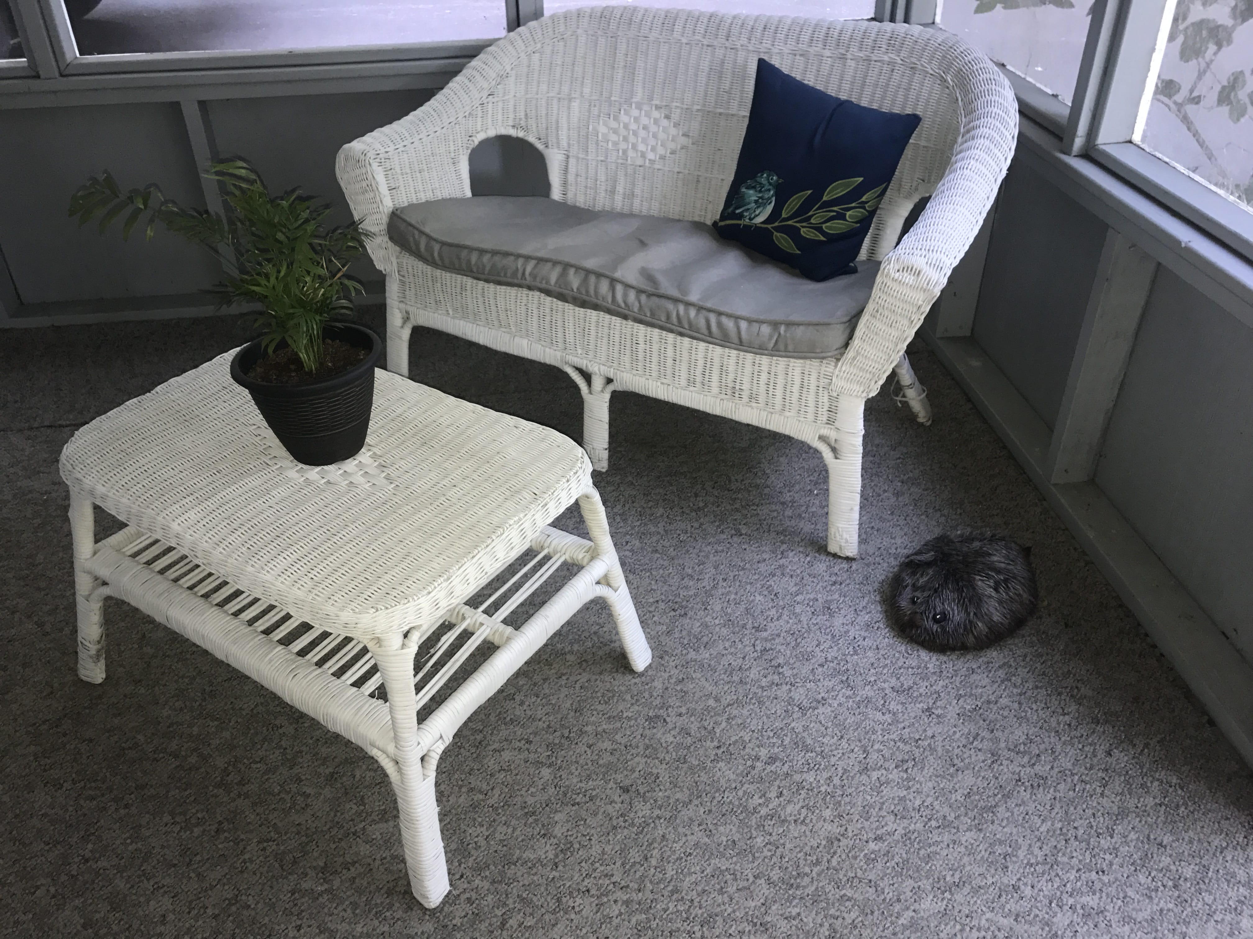 Personal Property Pictures