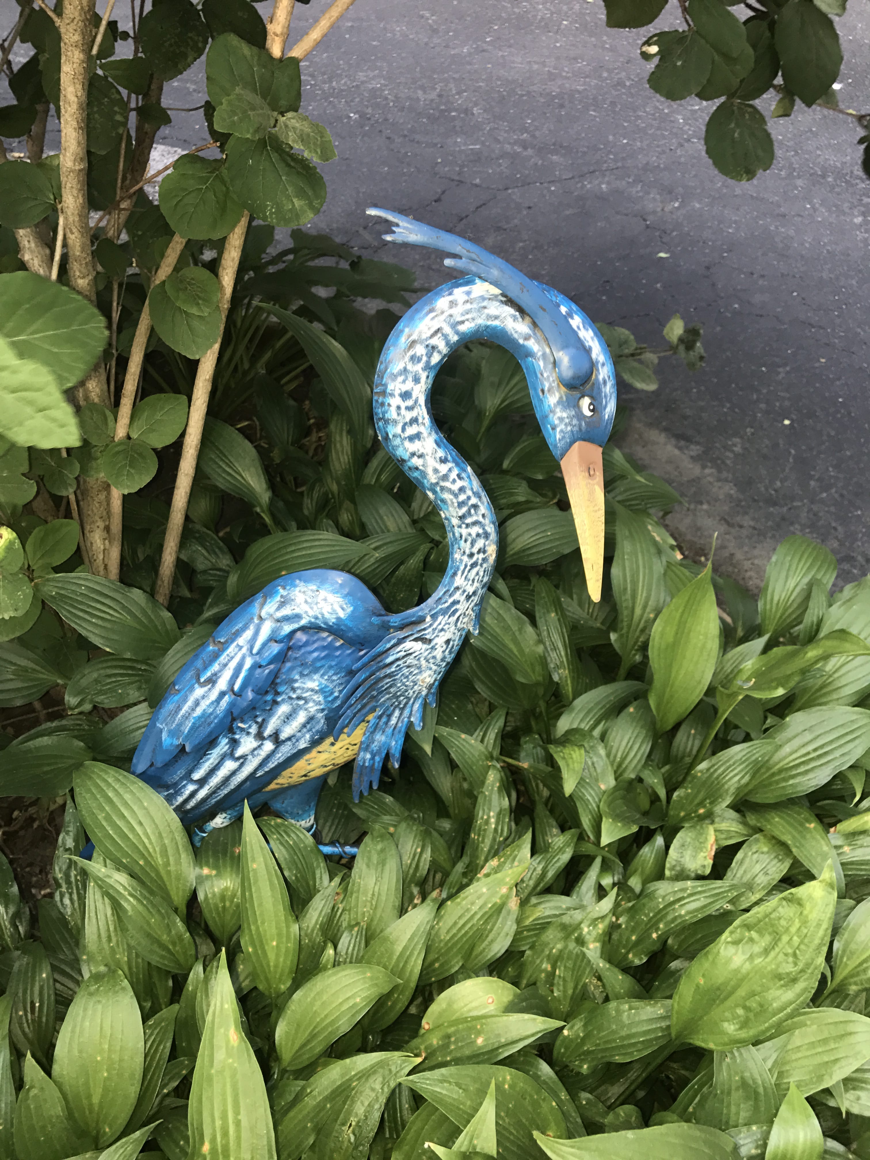 Personal Property Pictures