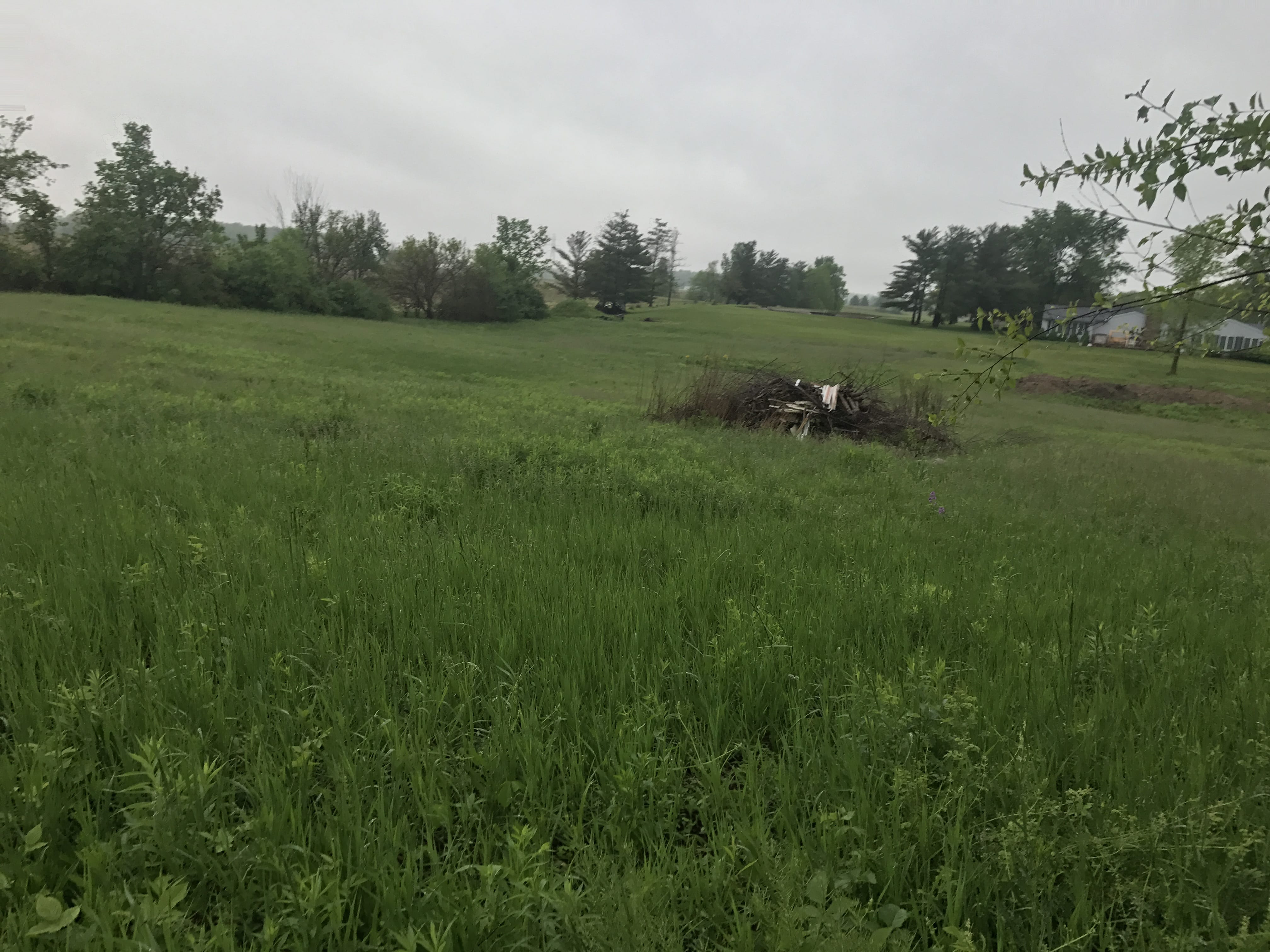 Real Estate Pictures