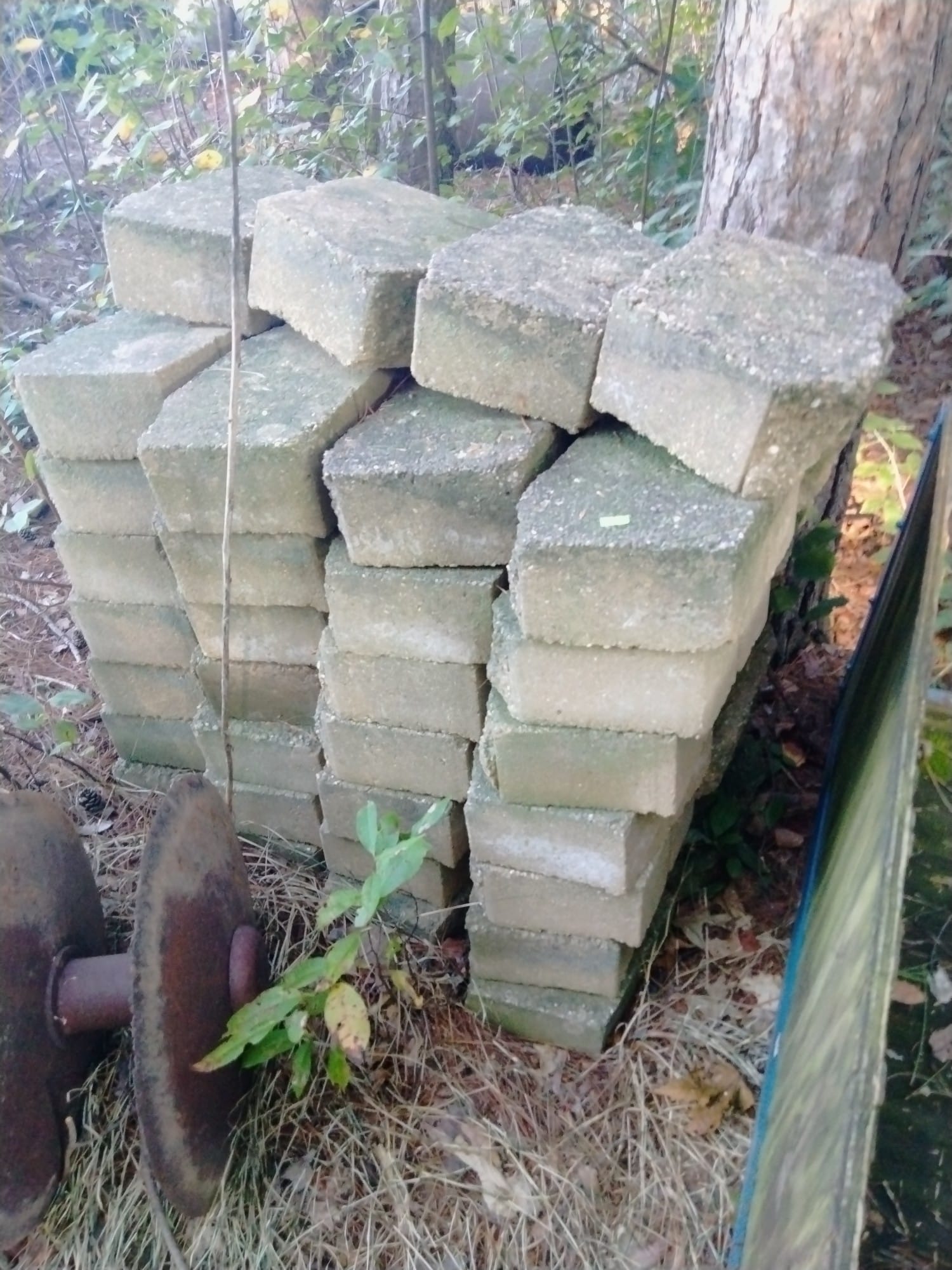 Online Bidding Only!