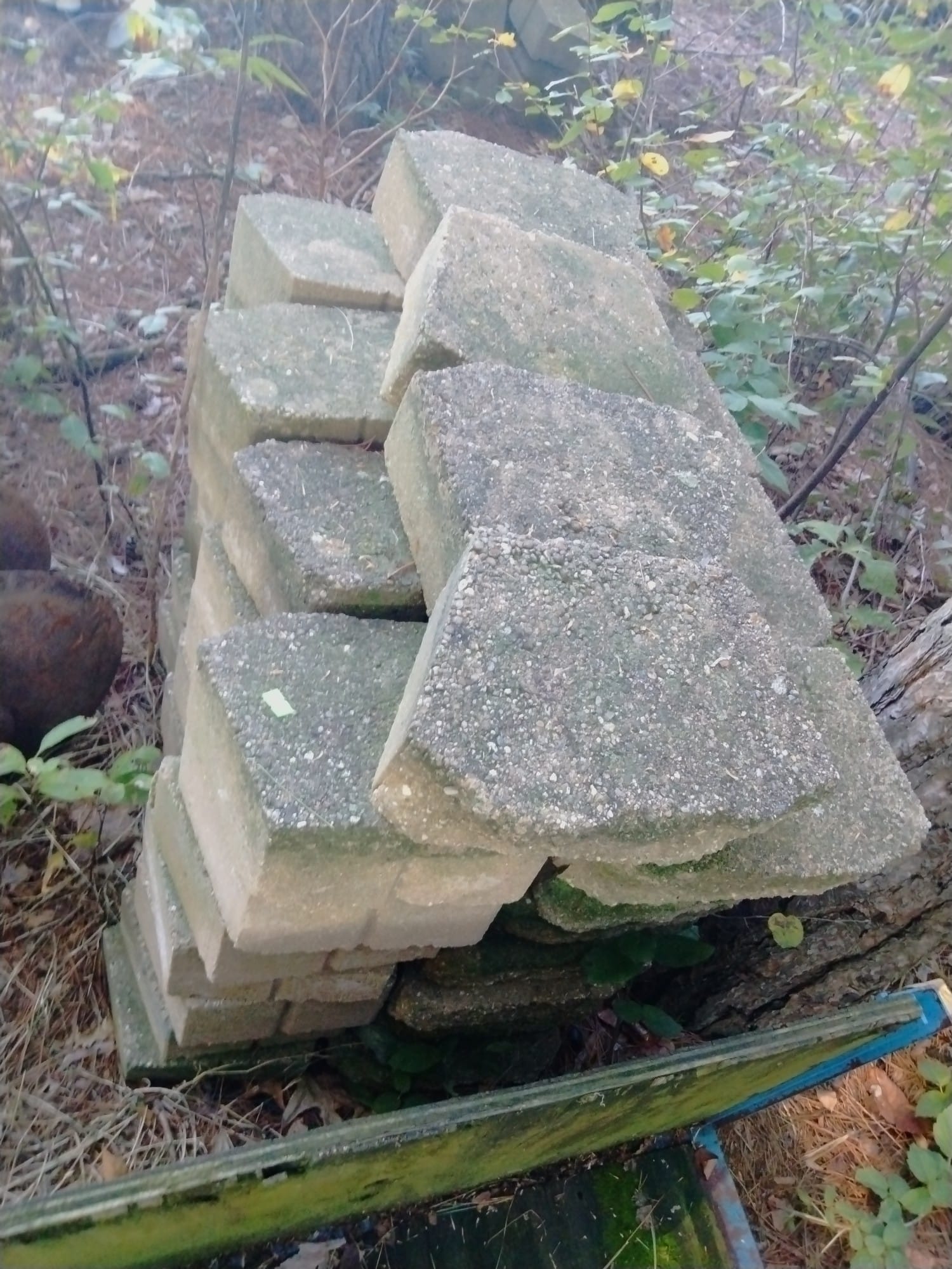 Online Bidding Only!