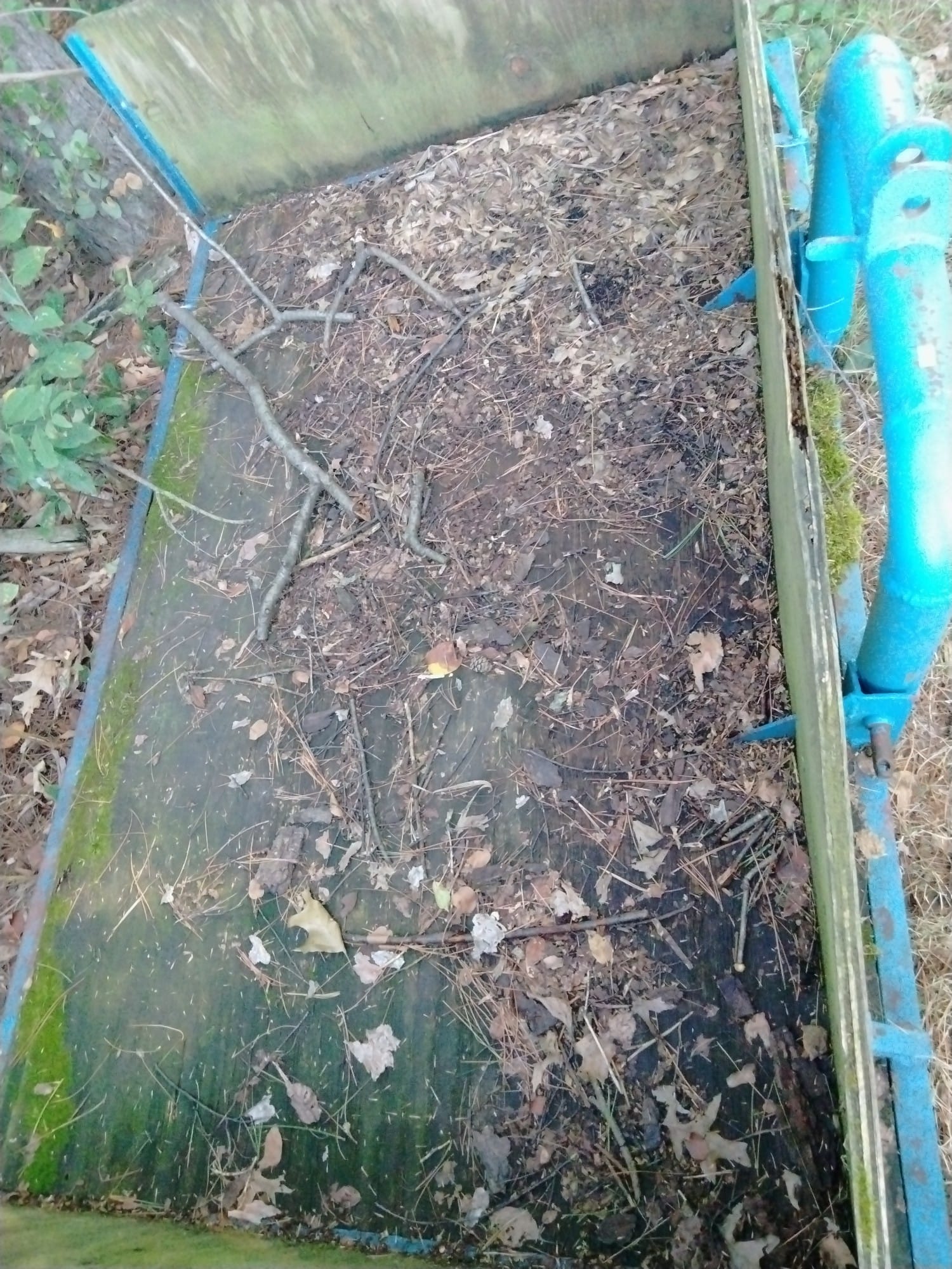 Online Bidding Only!