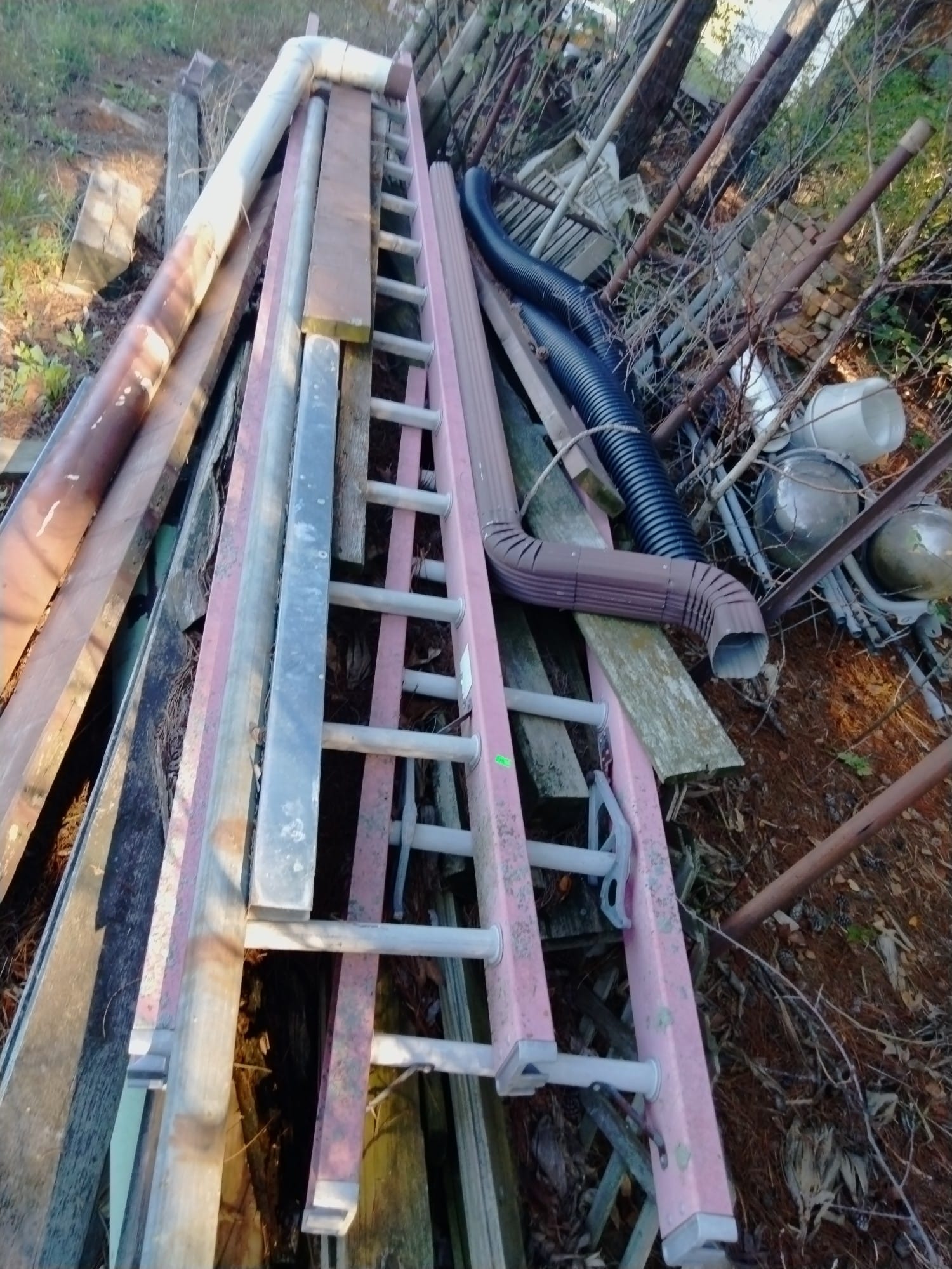 Online Bidding Only!