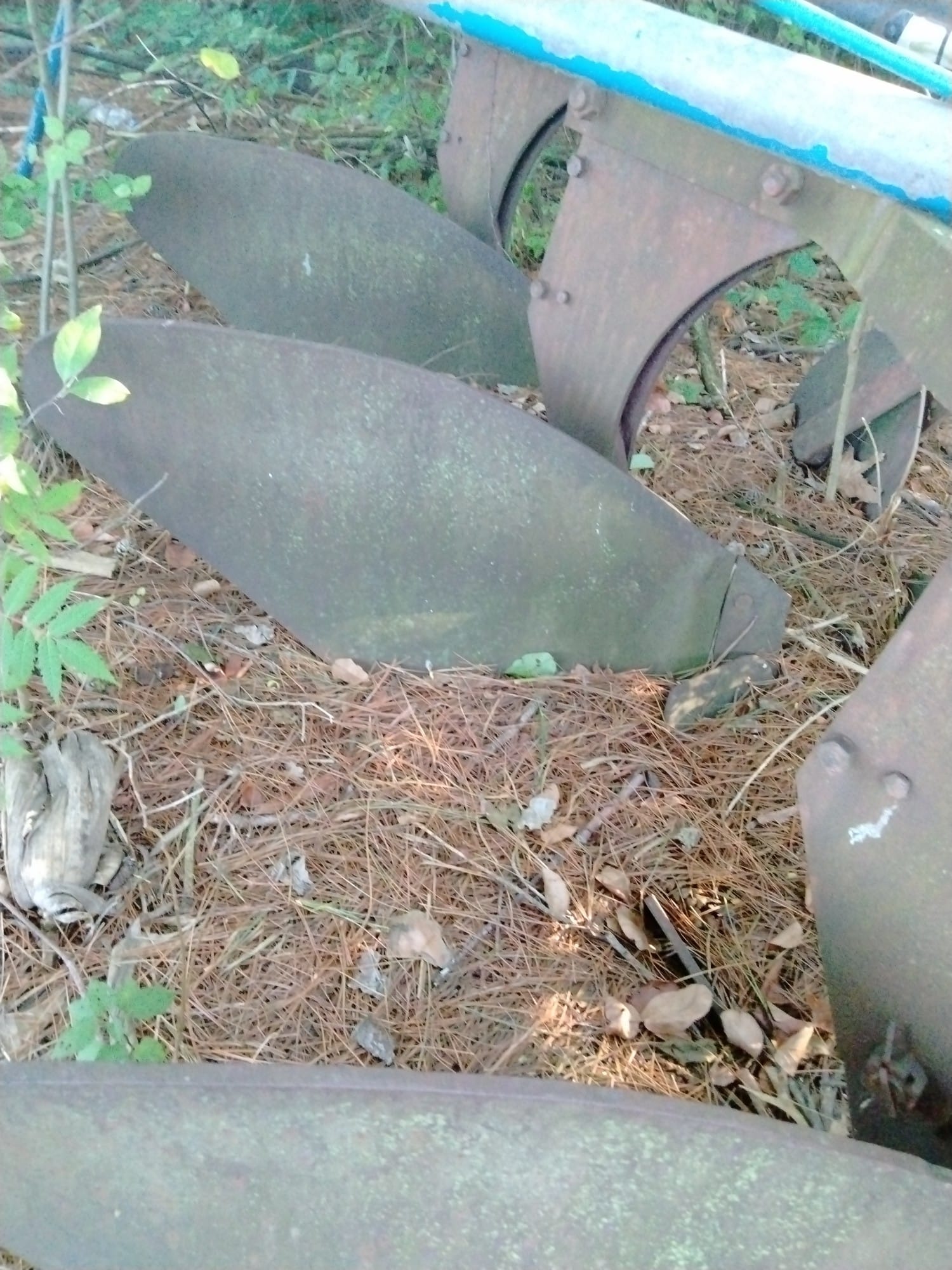 Online Bidding Only!