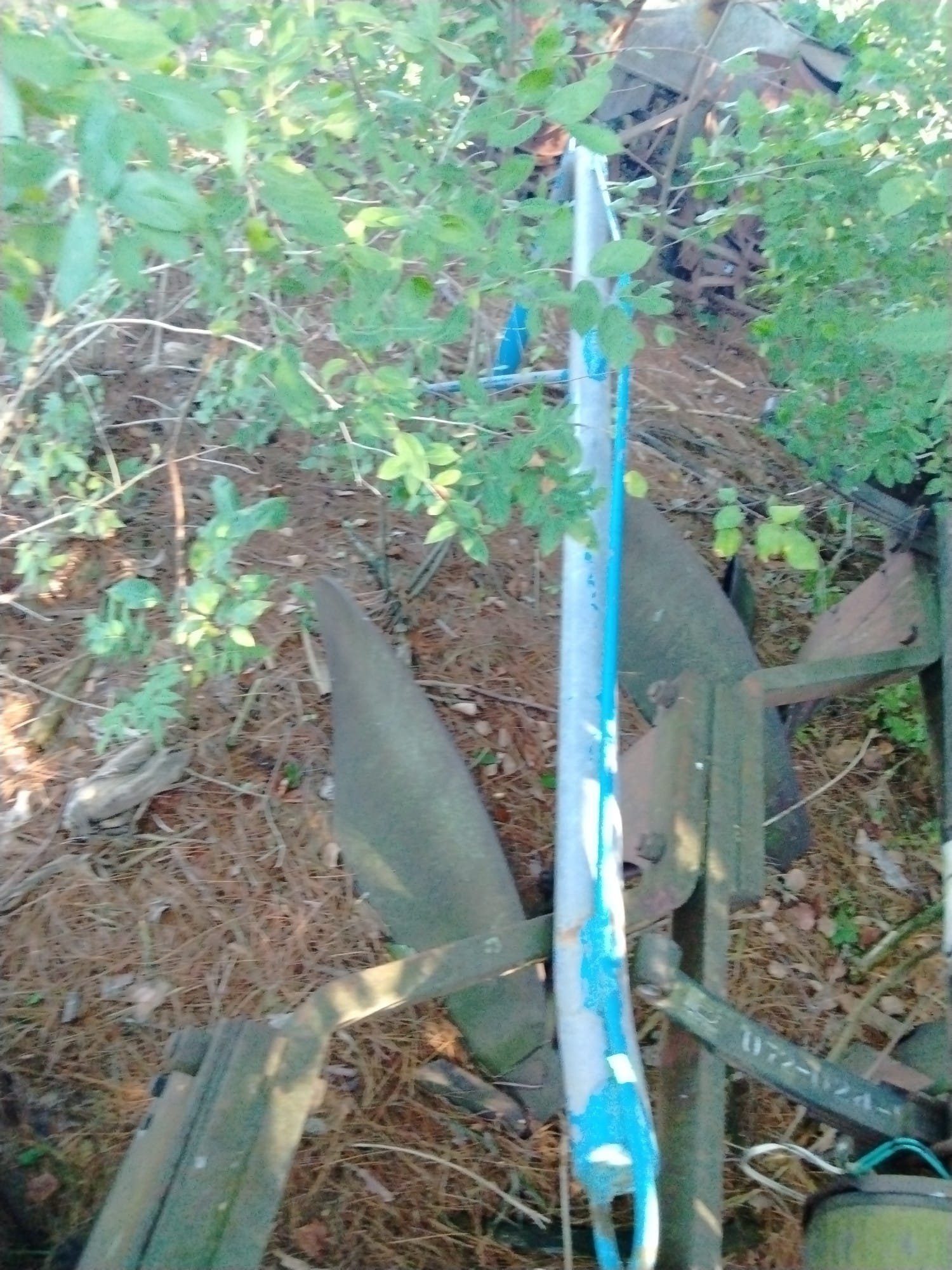 Online Bidding Only!