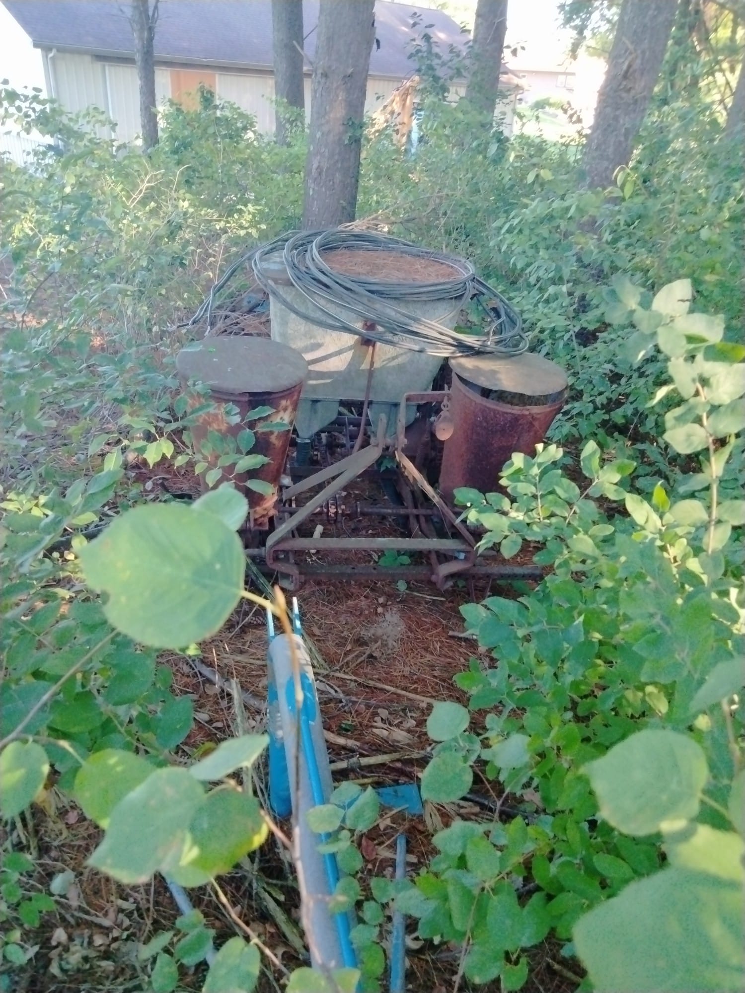 Online Bidding Only!