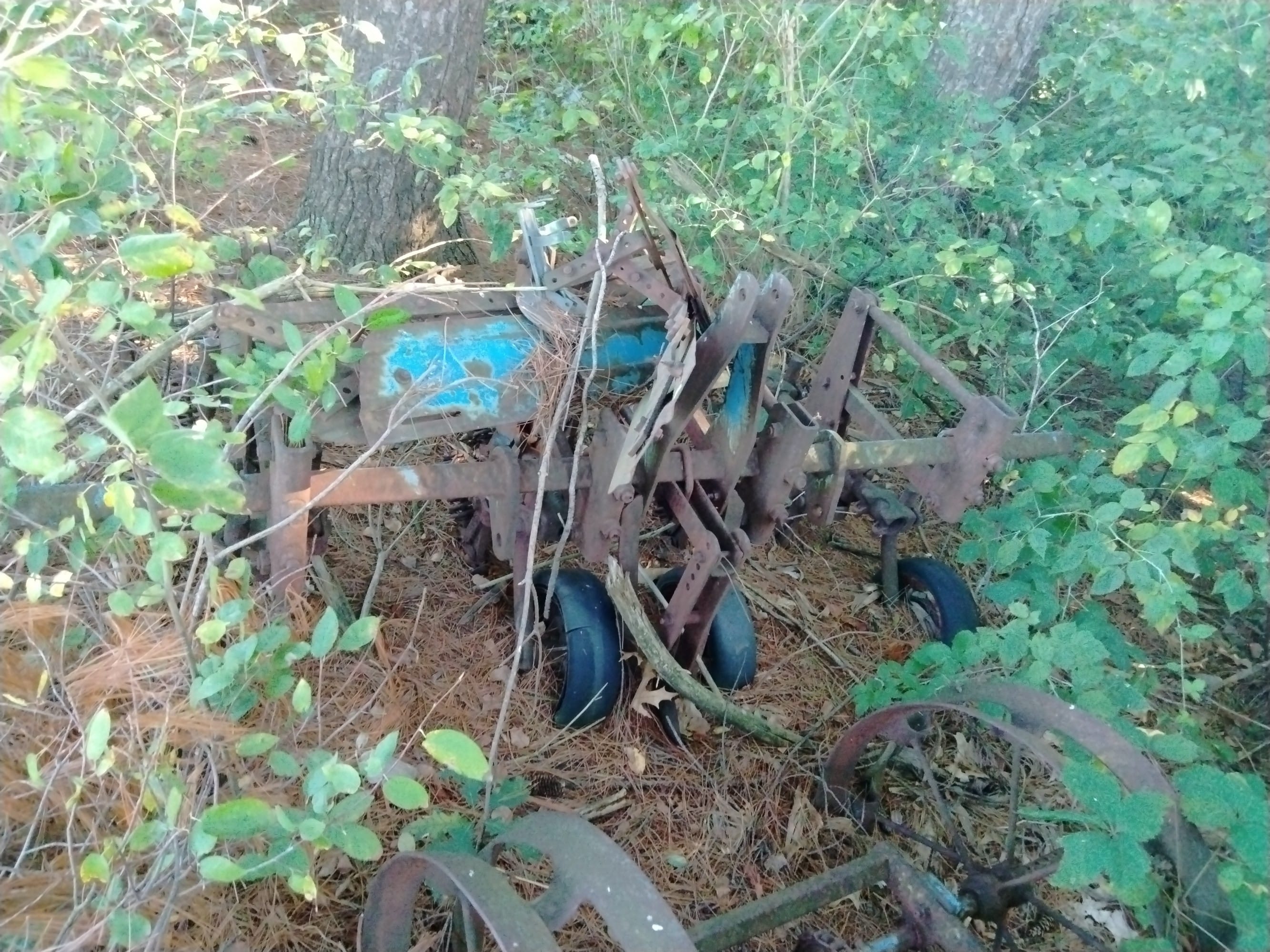 Online Bidding Only!