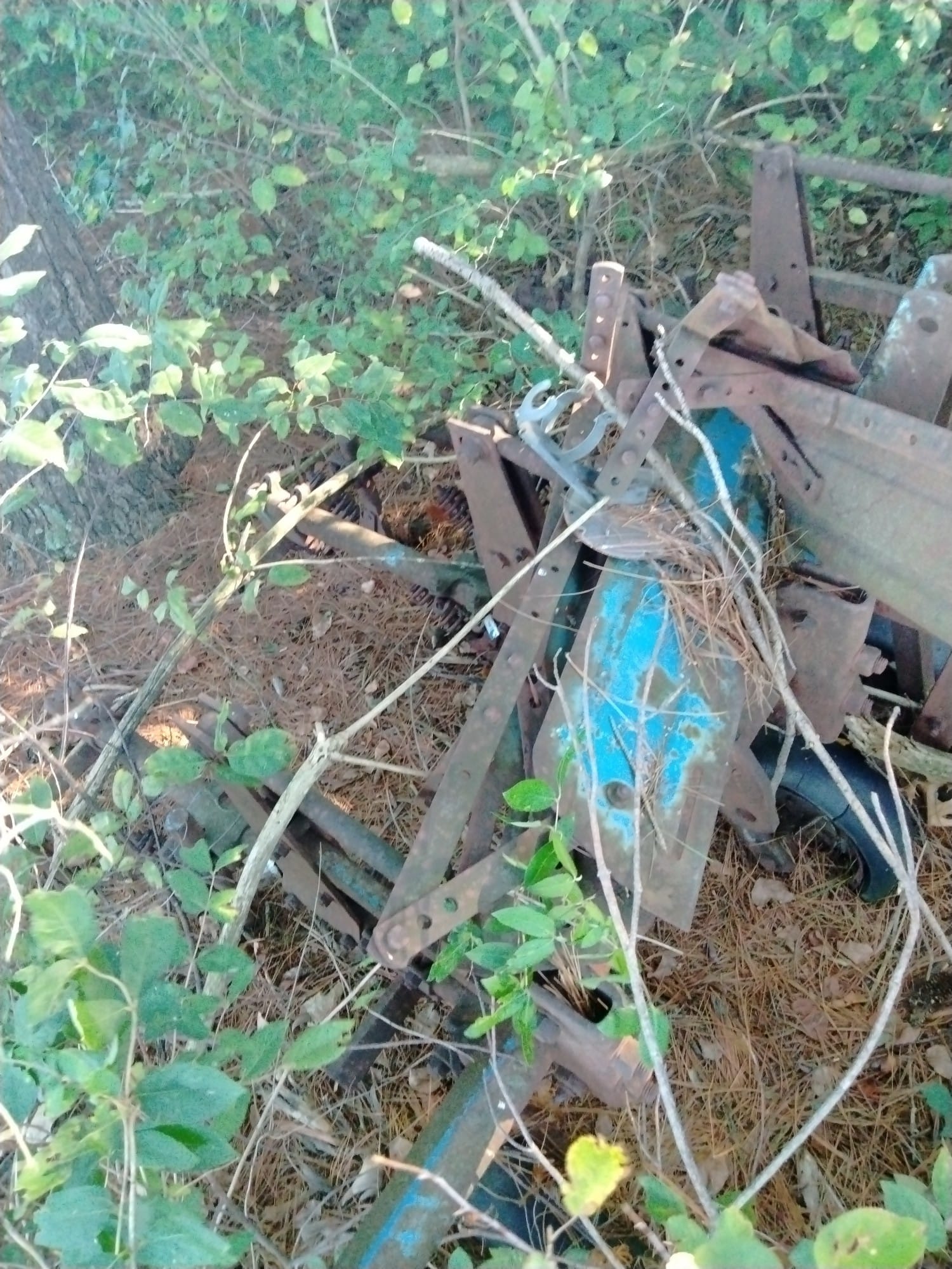 Online Bidding Only!