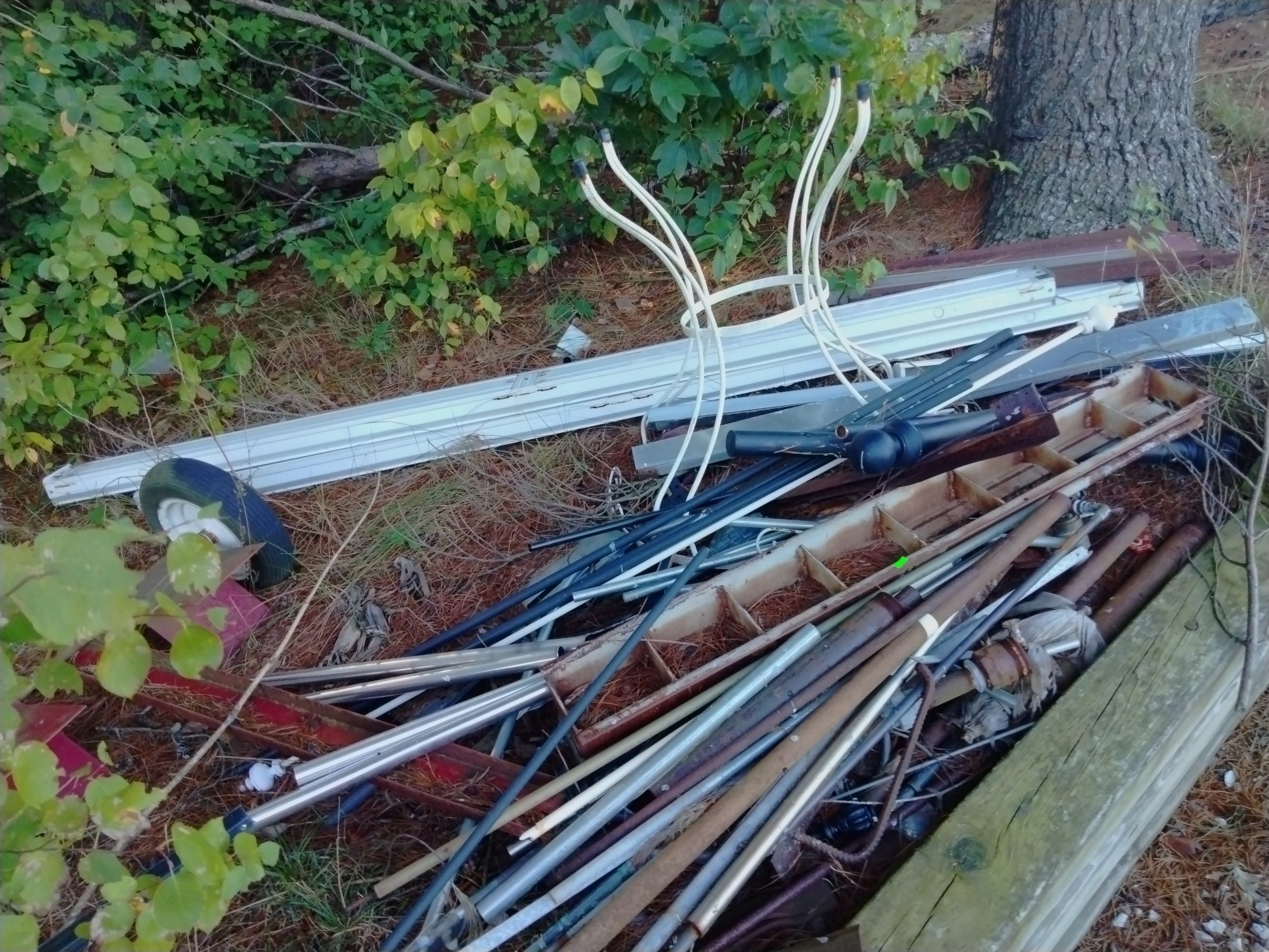 Online Bidding Only!