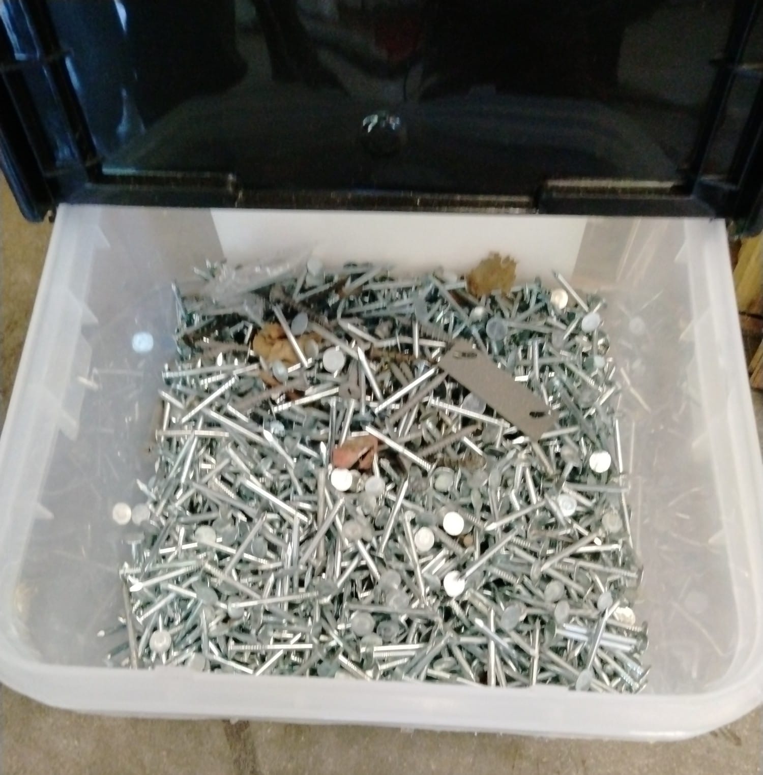 Online Bidding Only!