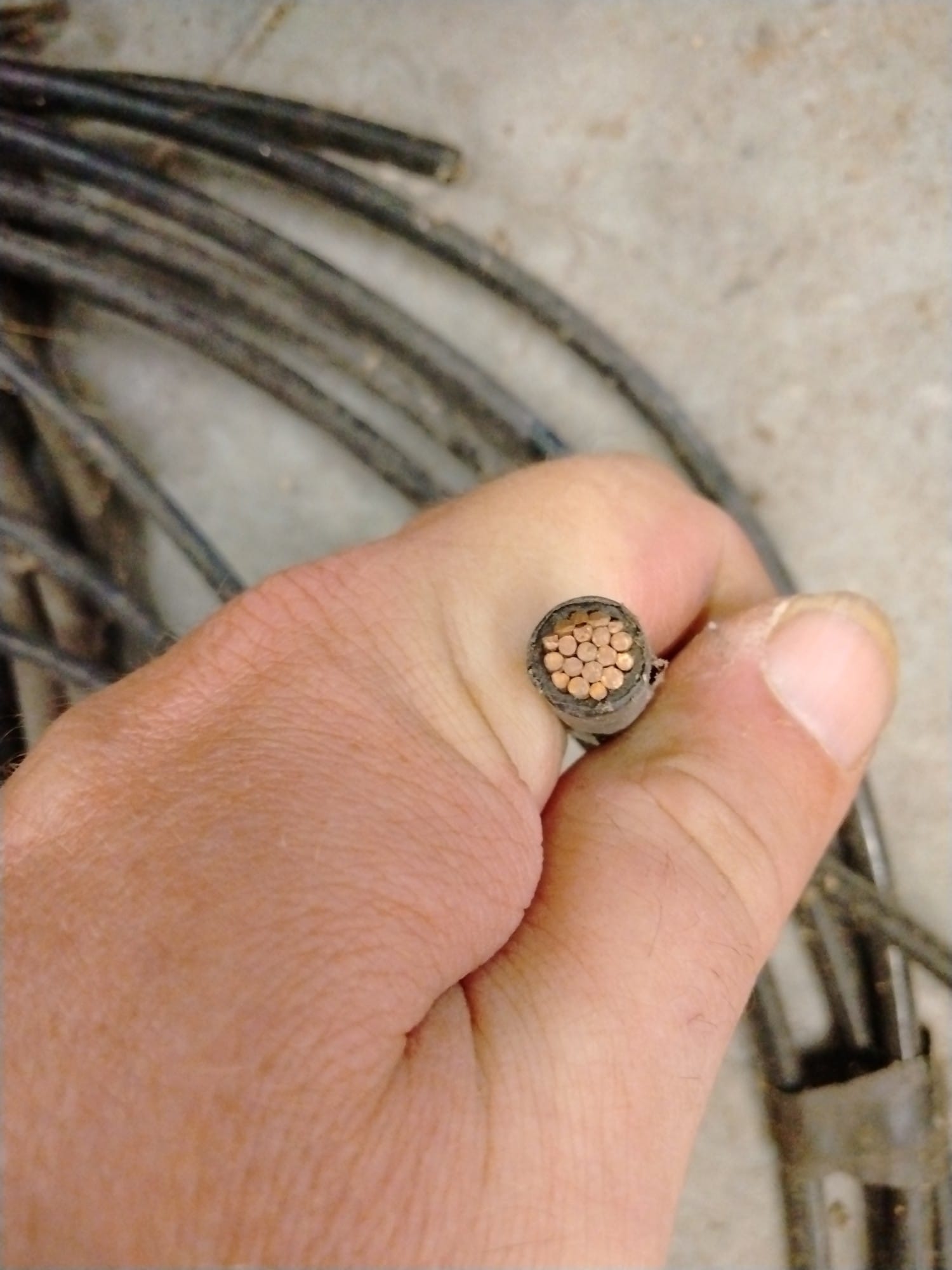 Online Bidding Only!