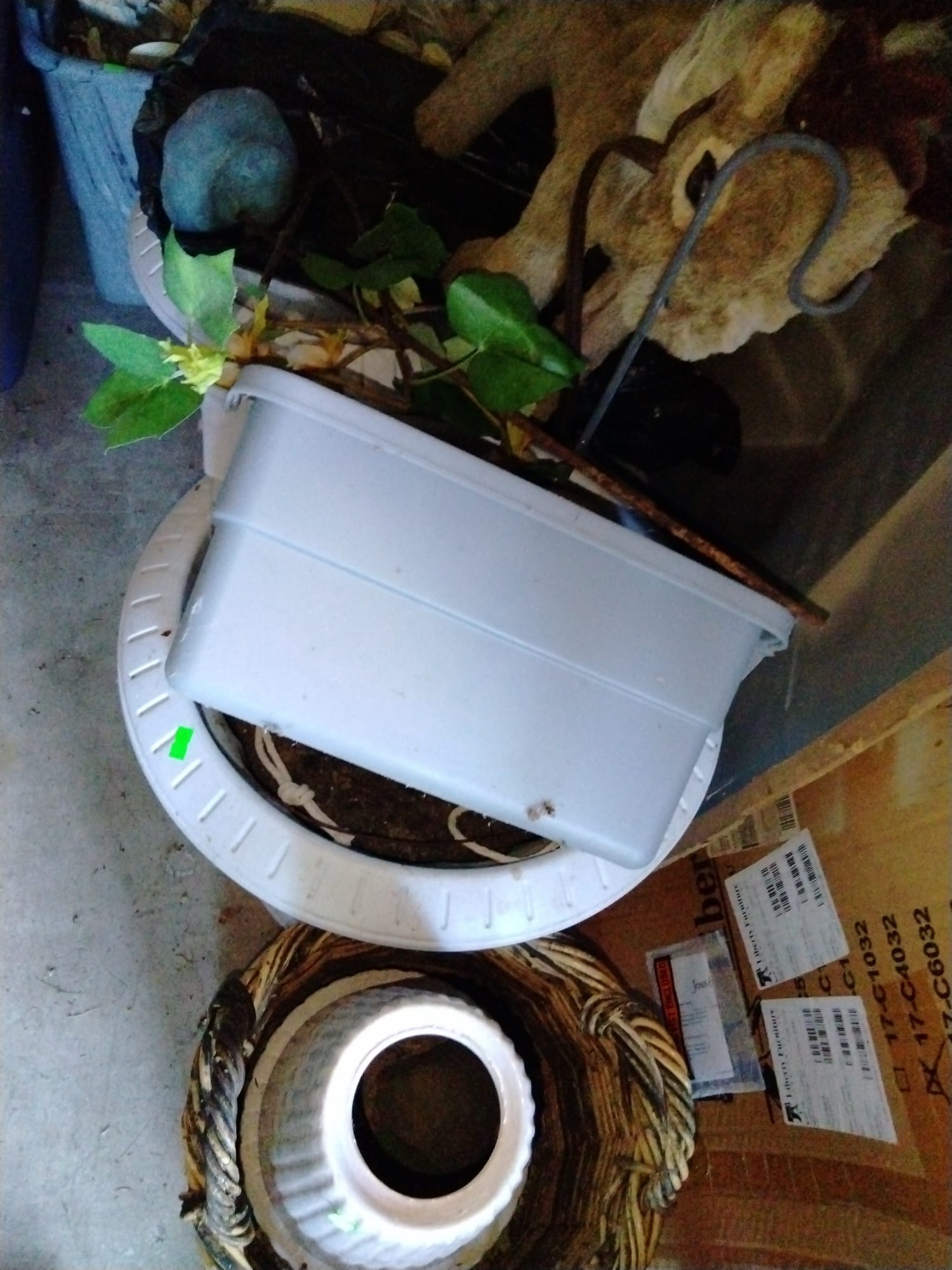 Online Bidding Only!