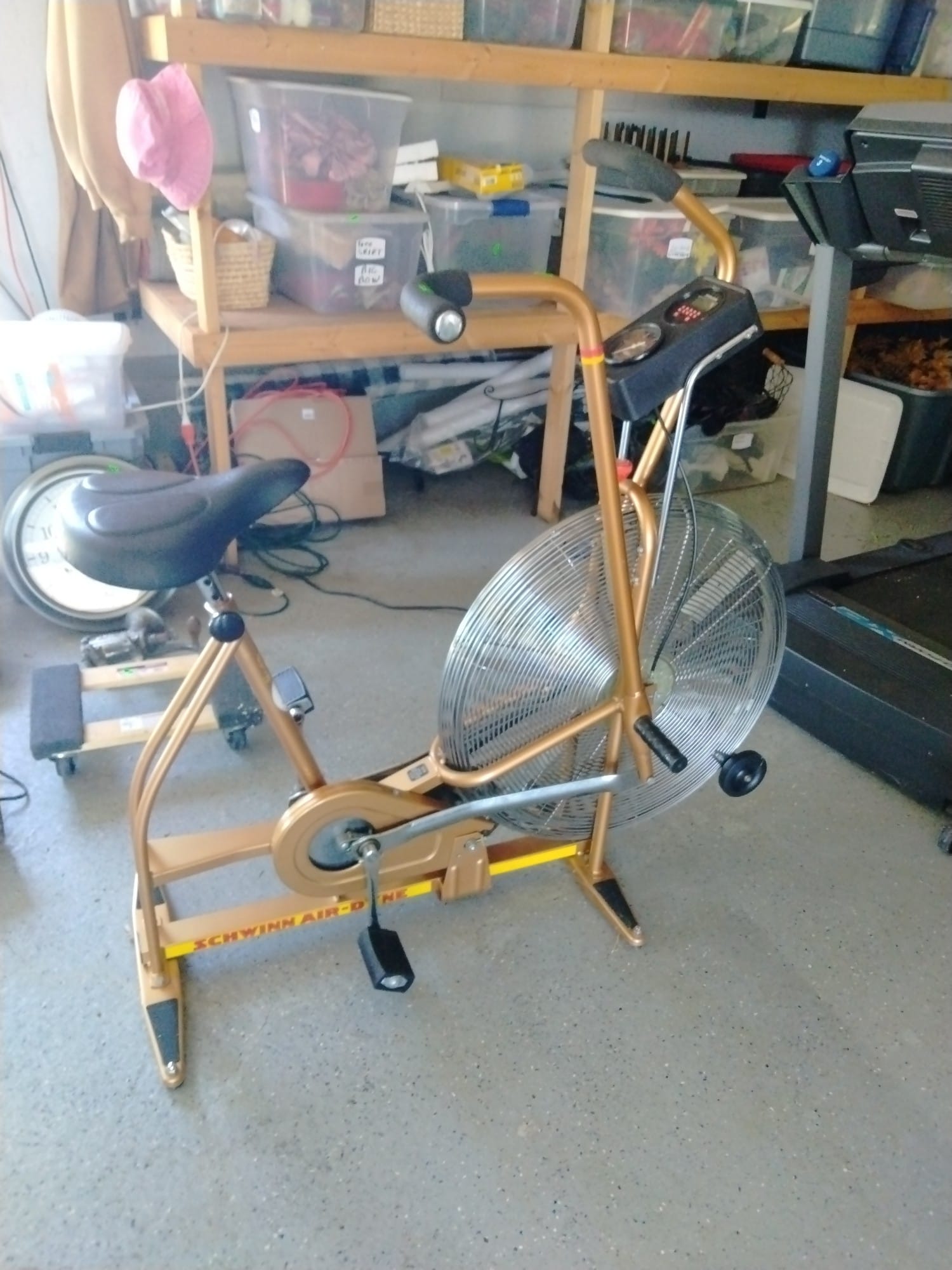 Online Bidding Only!