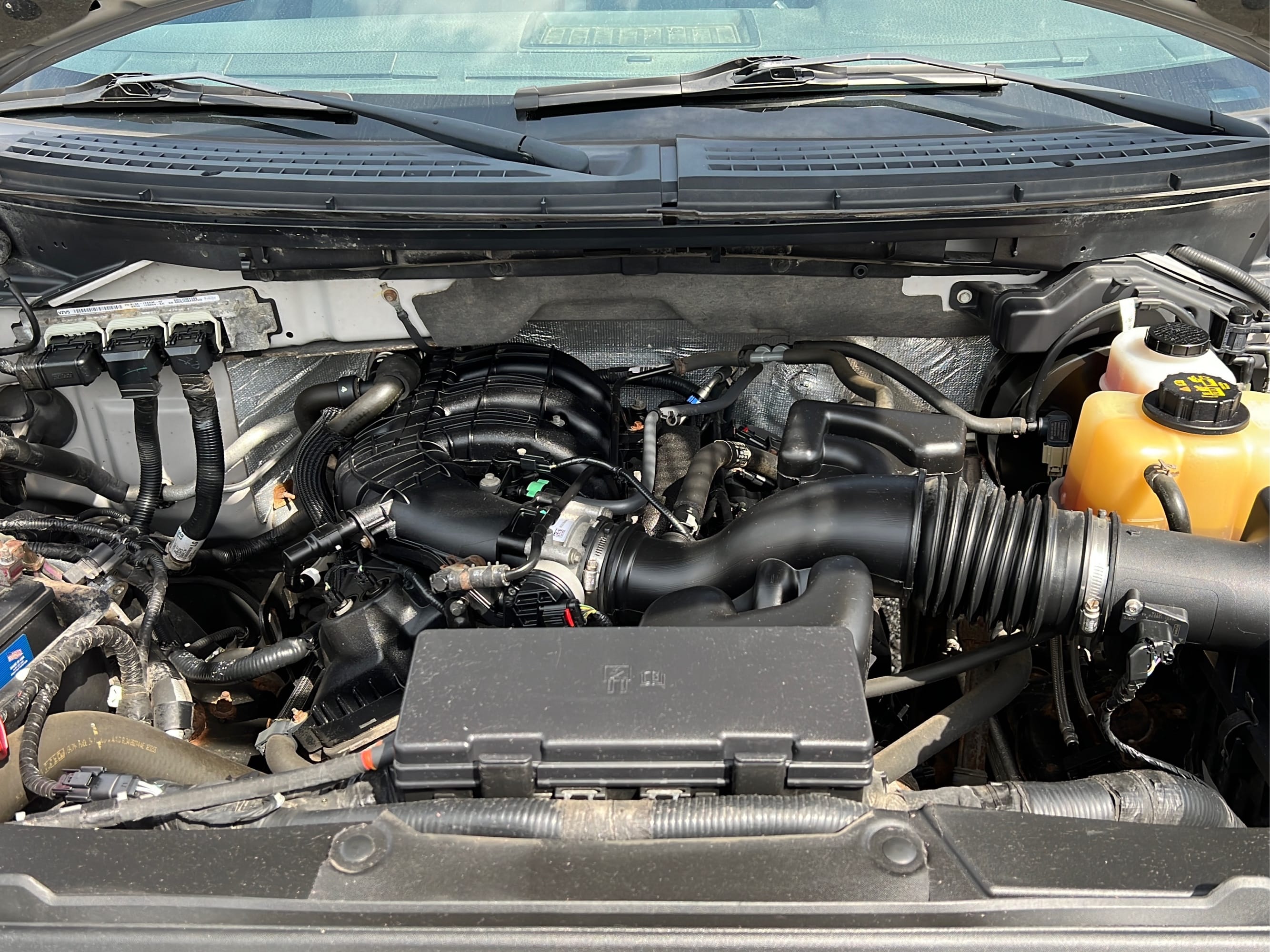 Online Bidding Available!