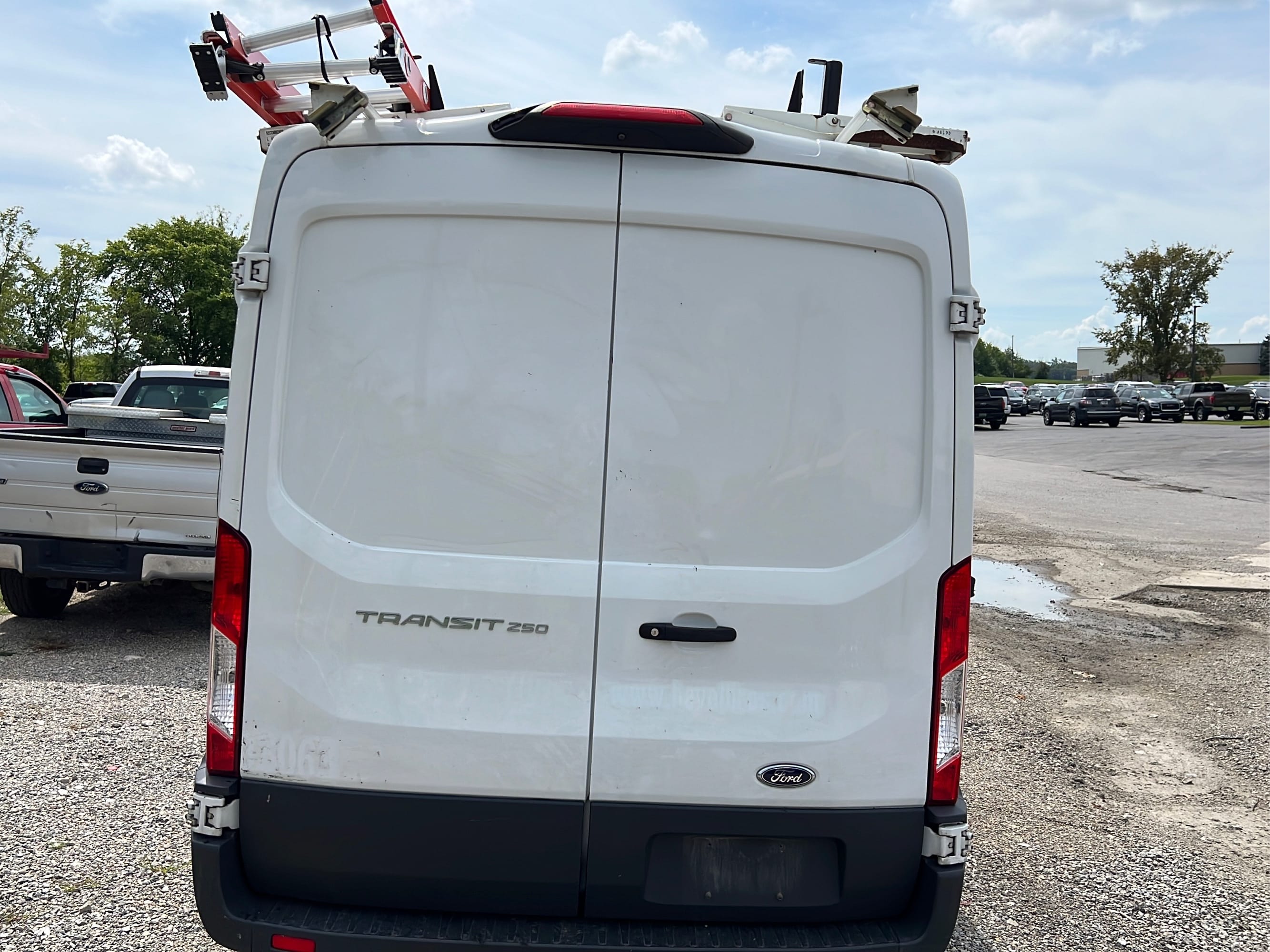 Online Bidding Available!