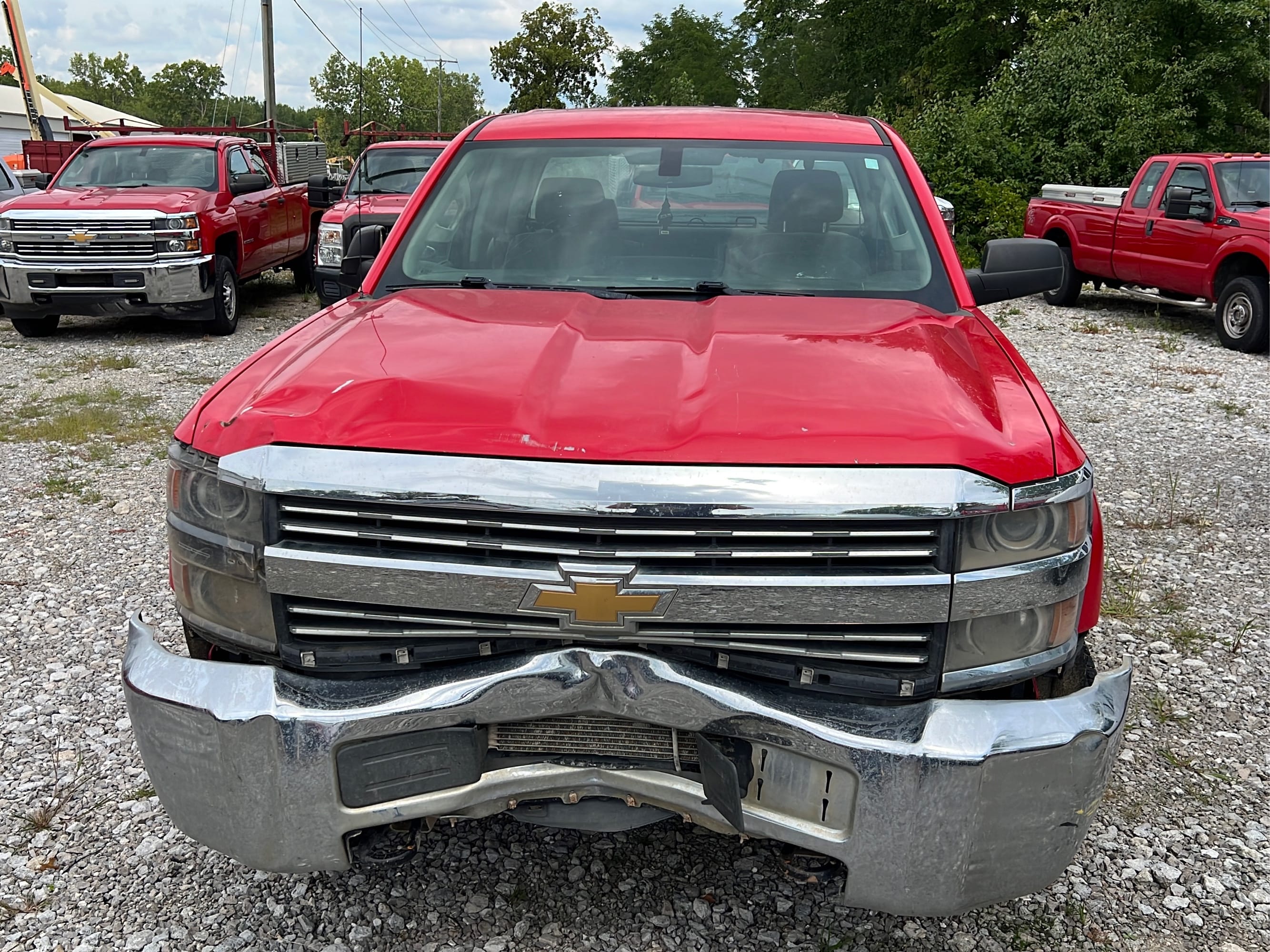 Online Bidding Available!