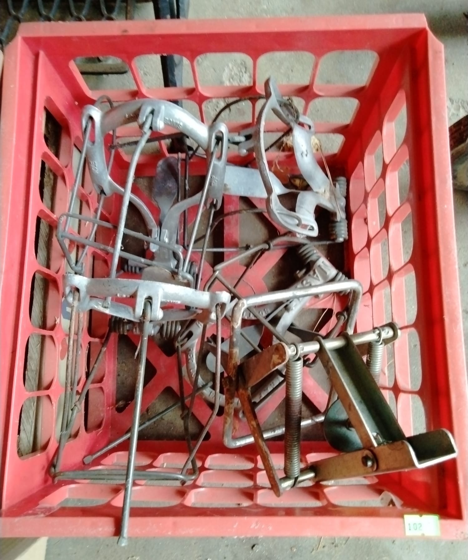 Online Bidding Available!