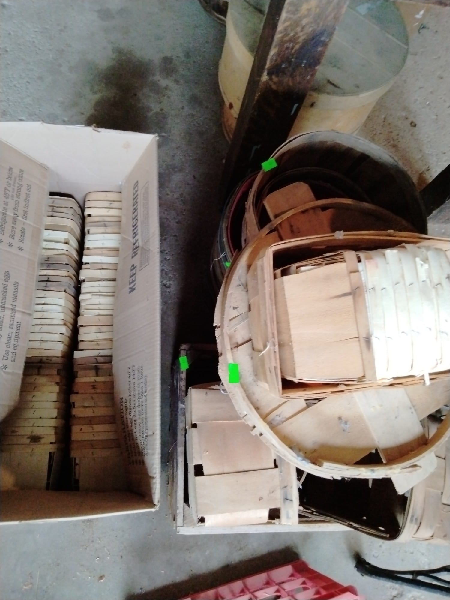 Online Bidding Available!