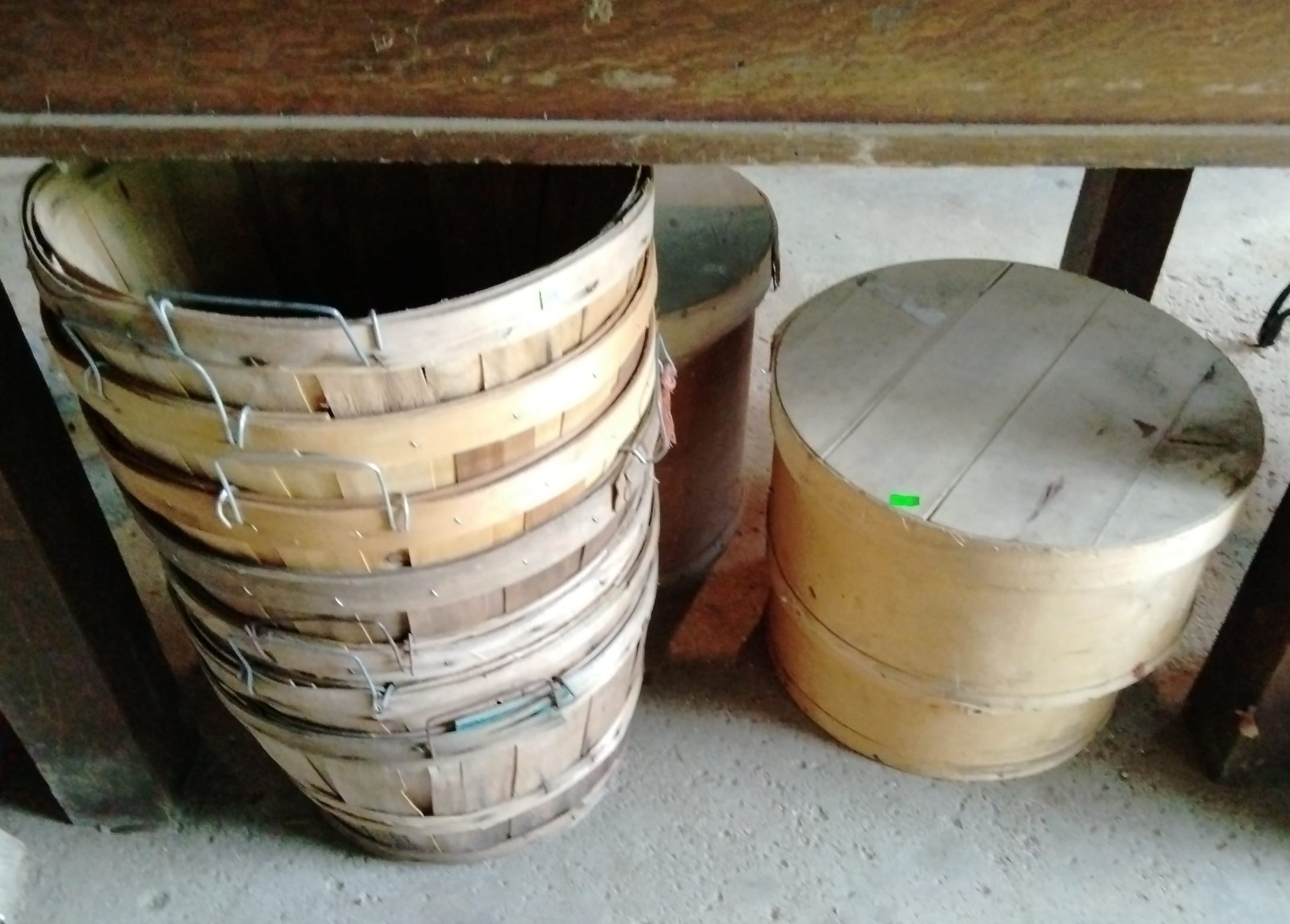 Online Bidding Available!