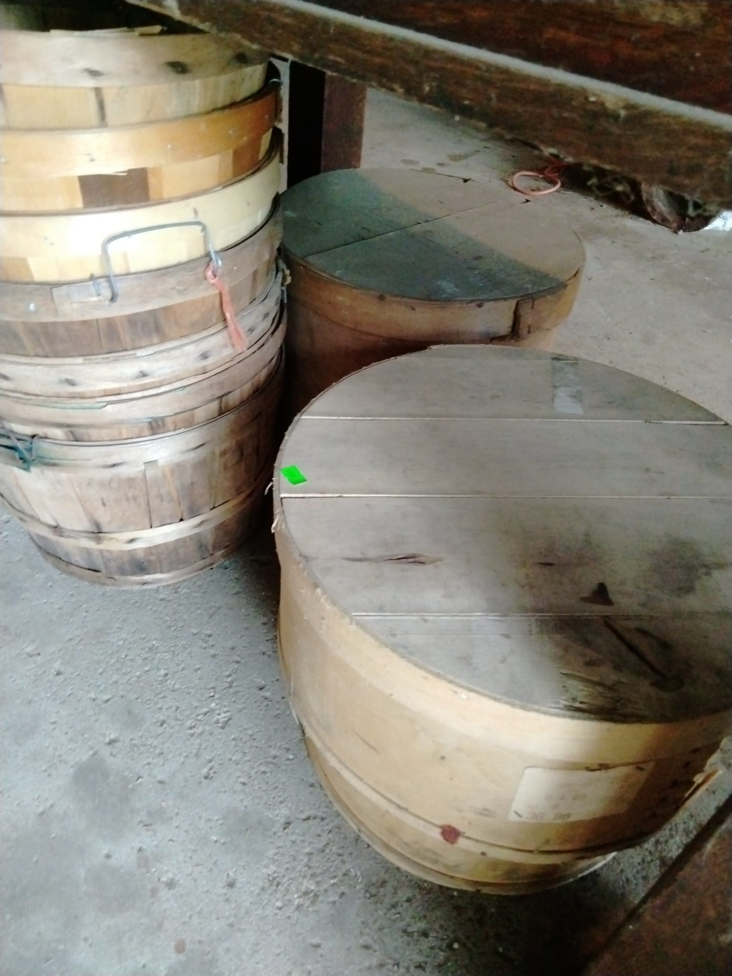 Online Bidding Available!