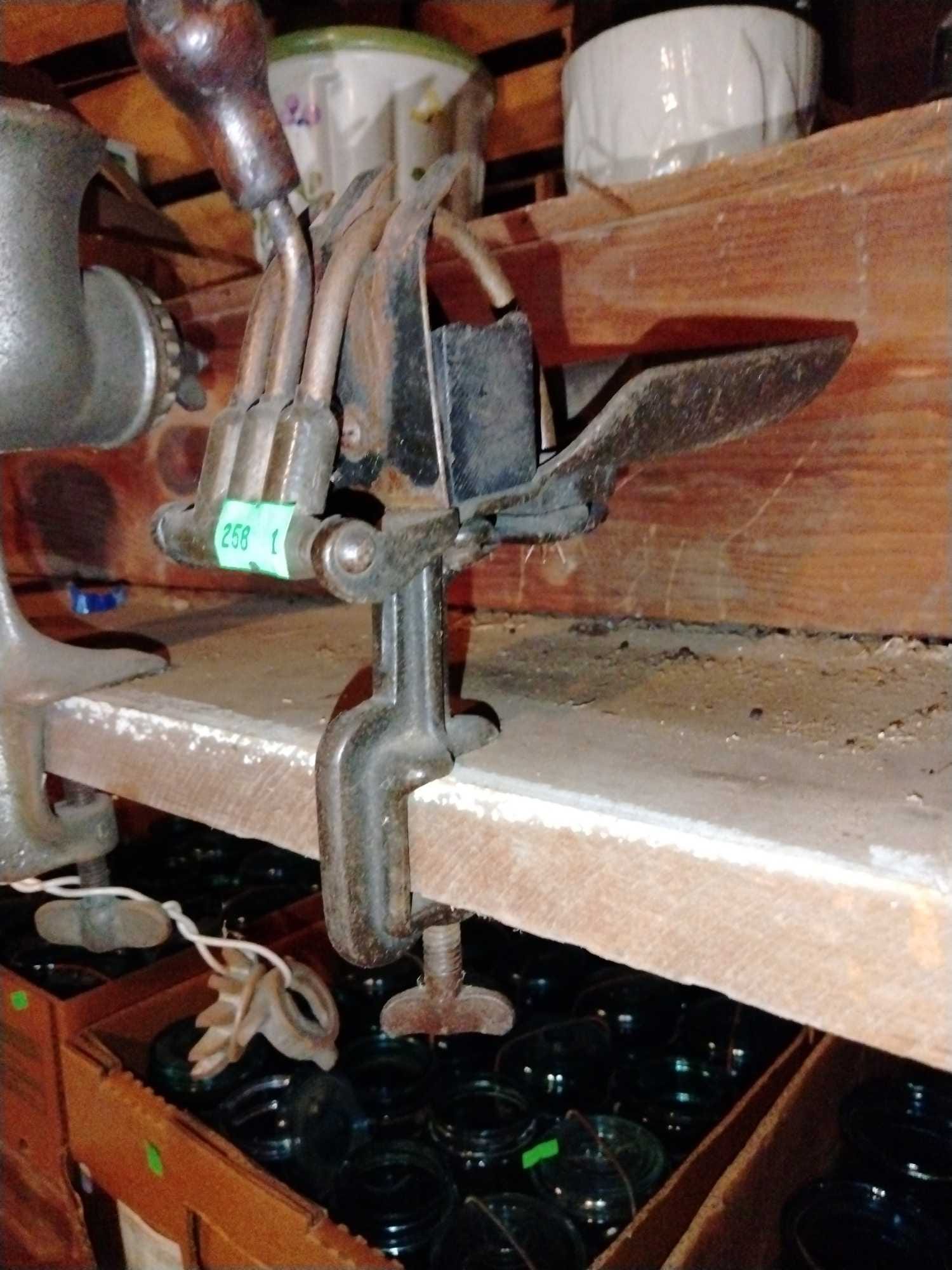 Online Bidding Available!