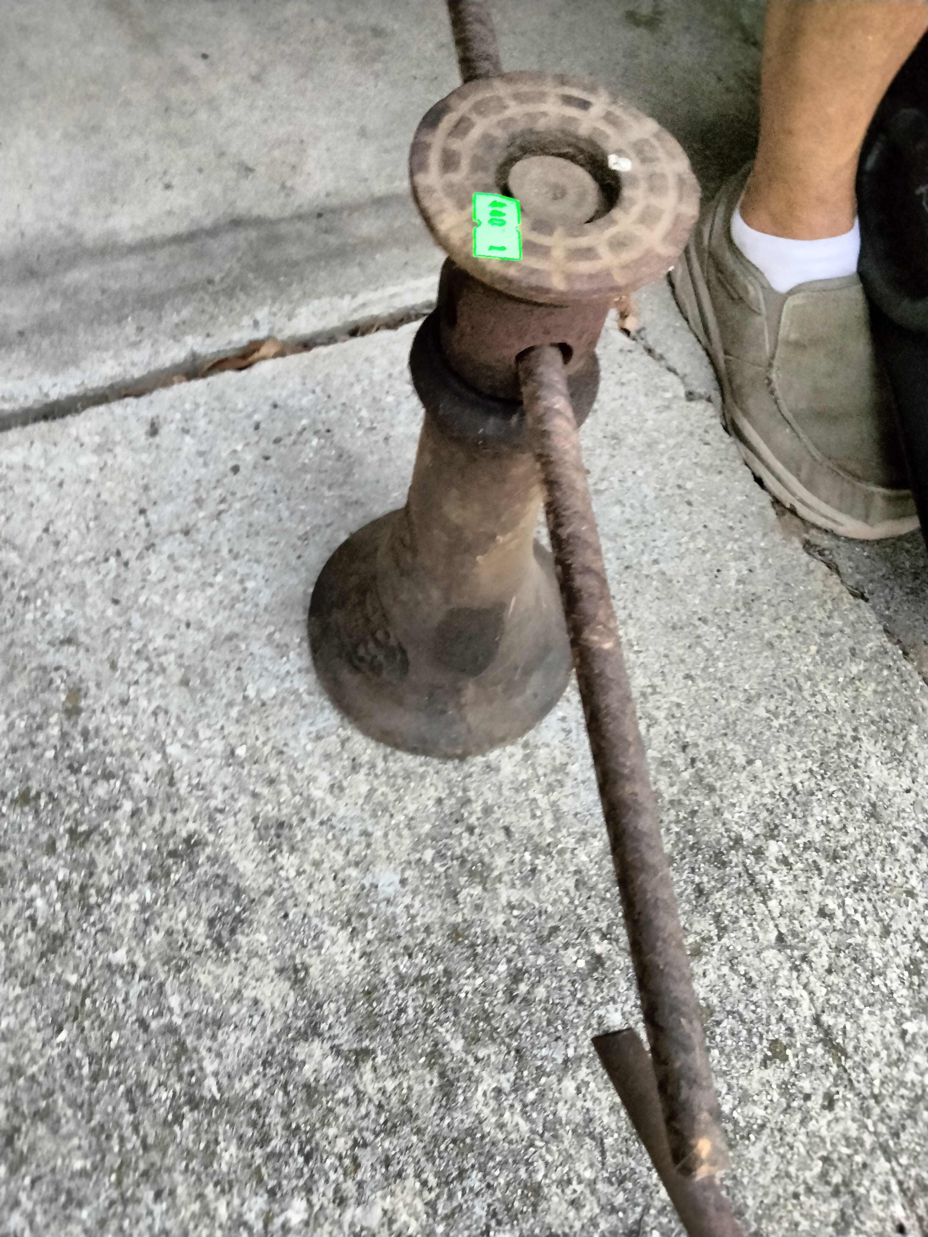 Online Bidding Available!