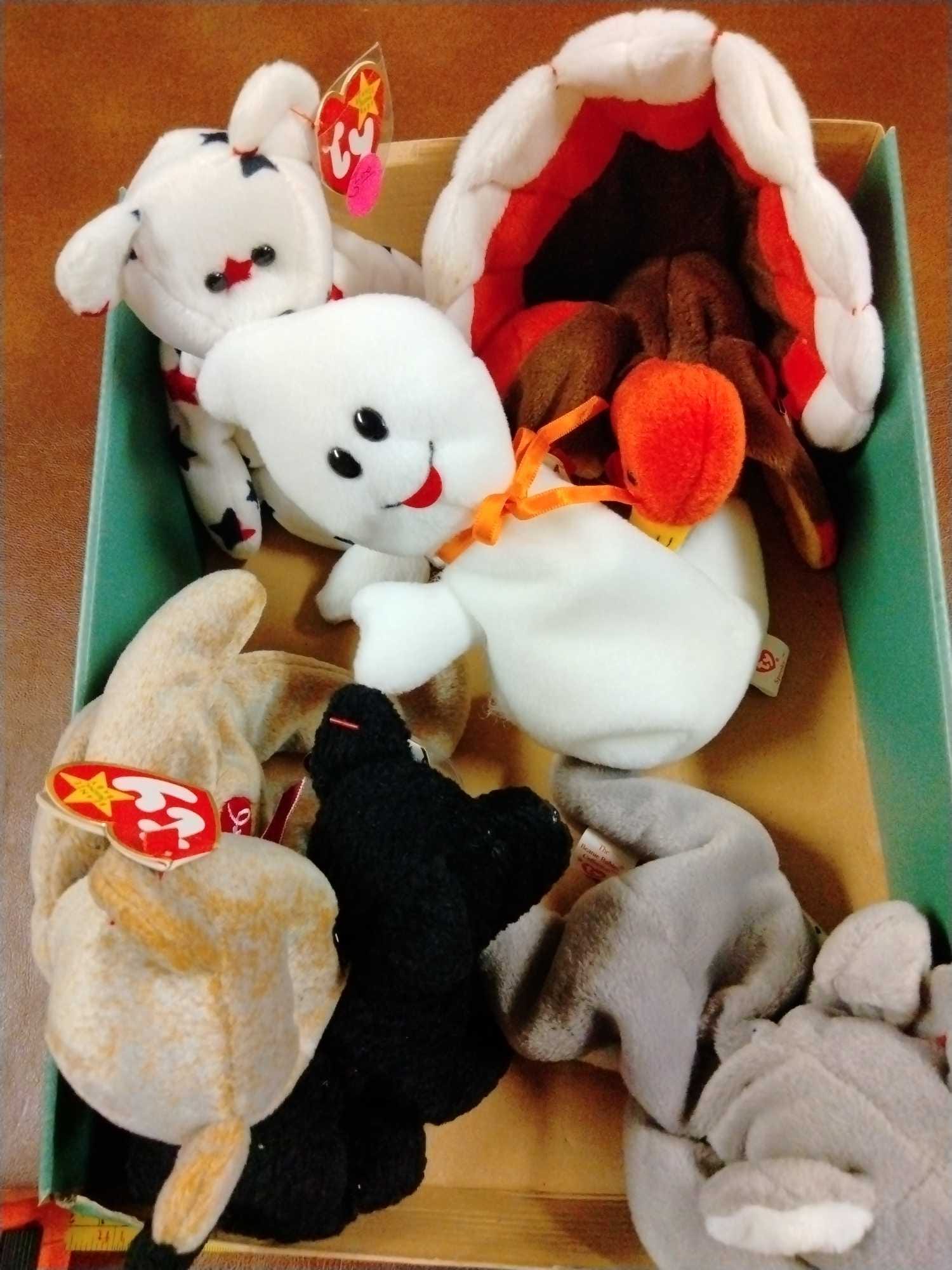 Online Bidding Available!