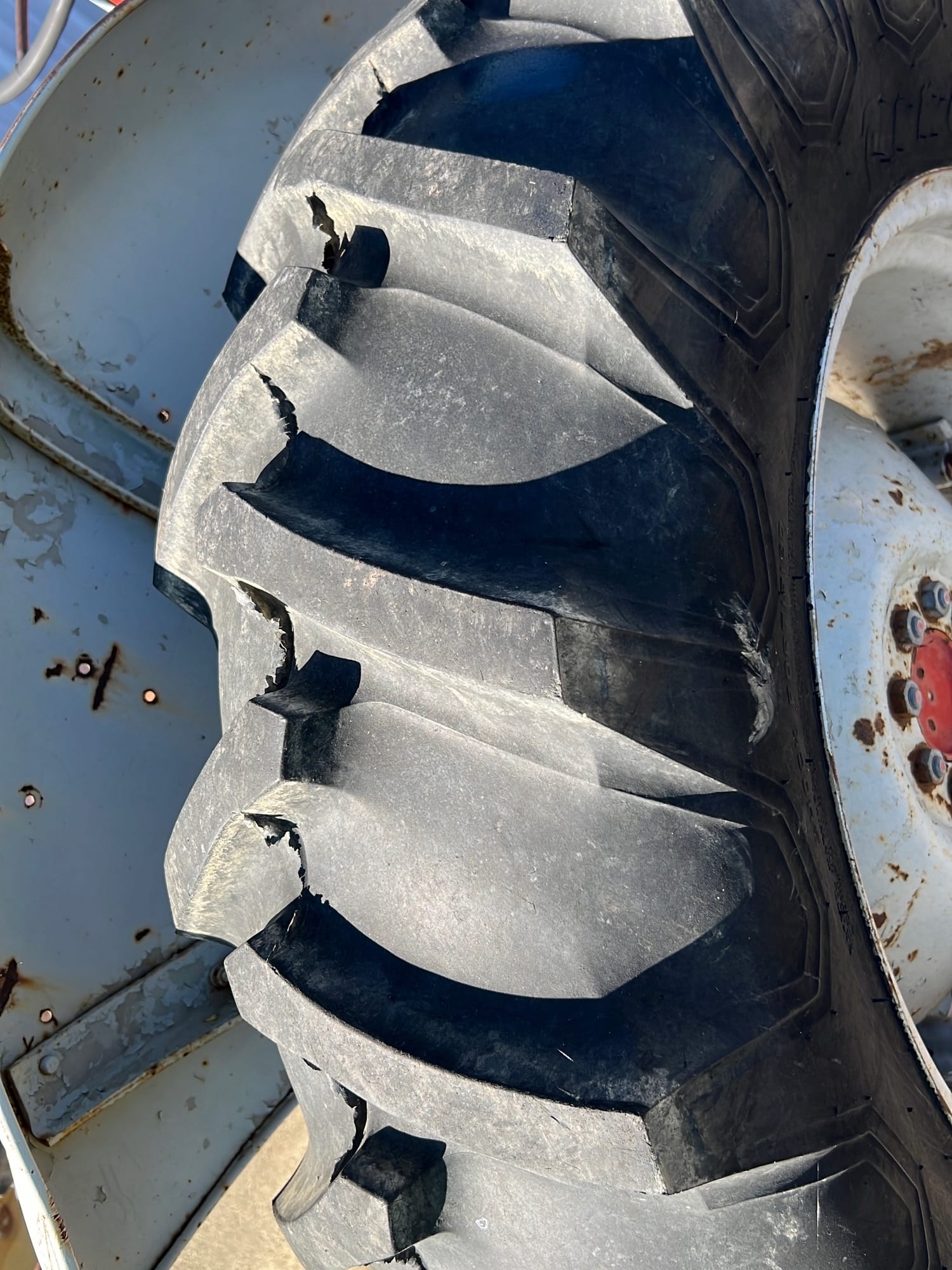 Online Bidding Available!