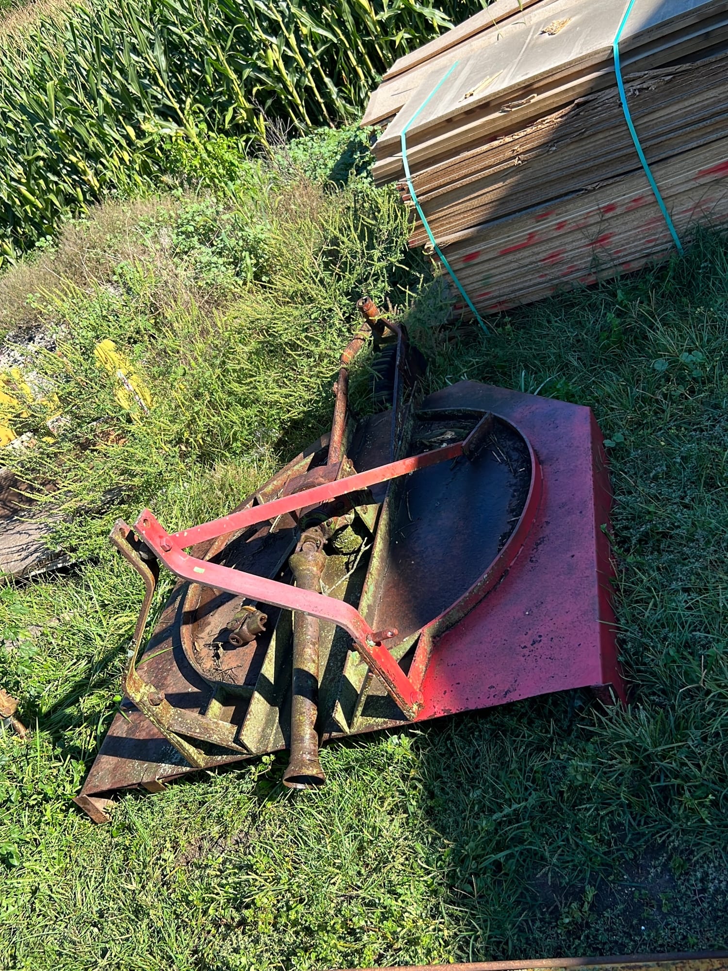 Online Bidding Available!