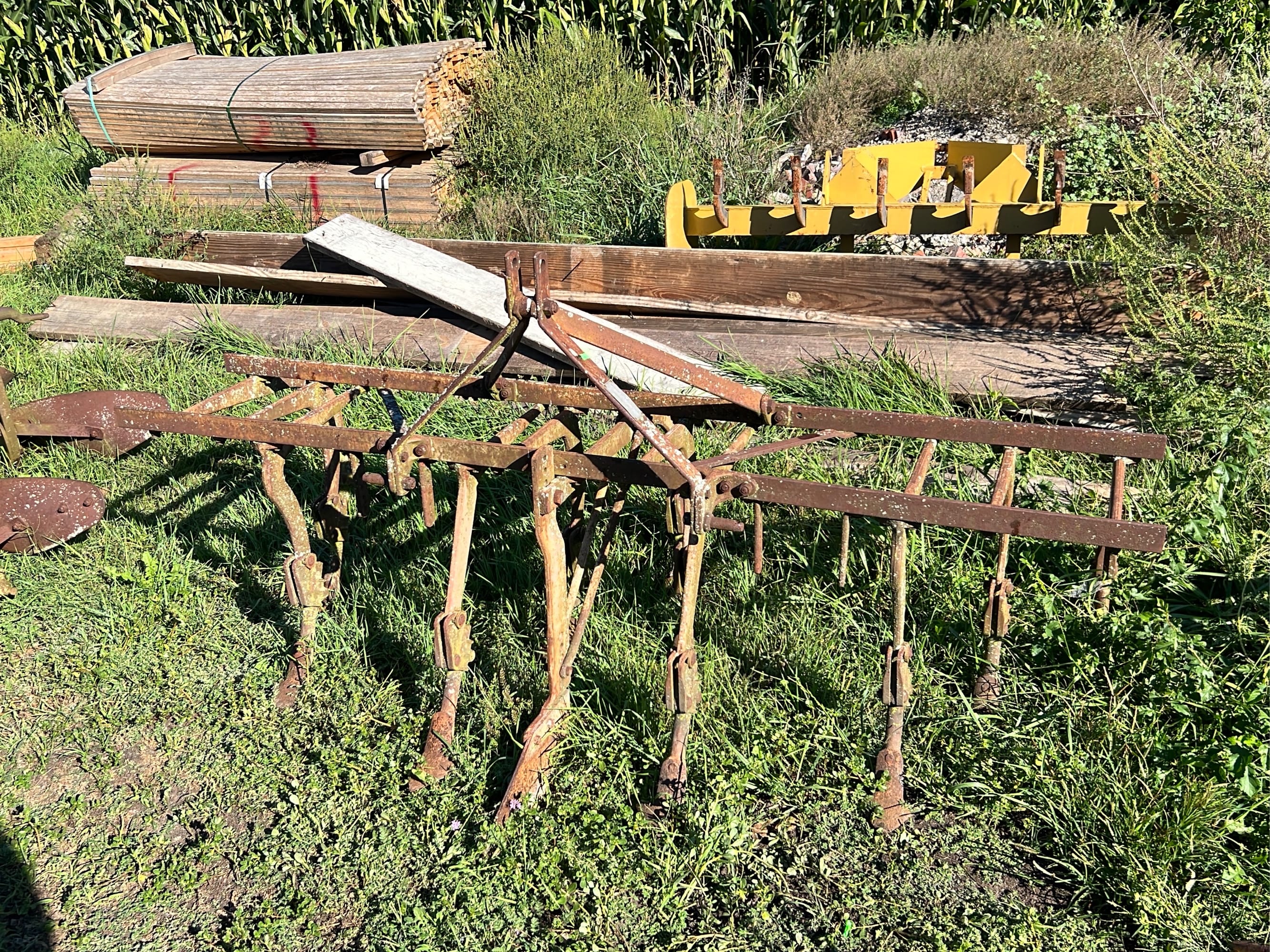 Online Bidding Available!