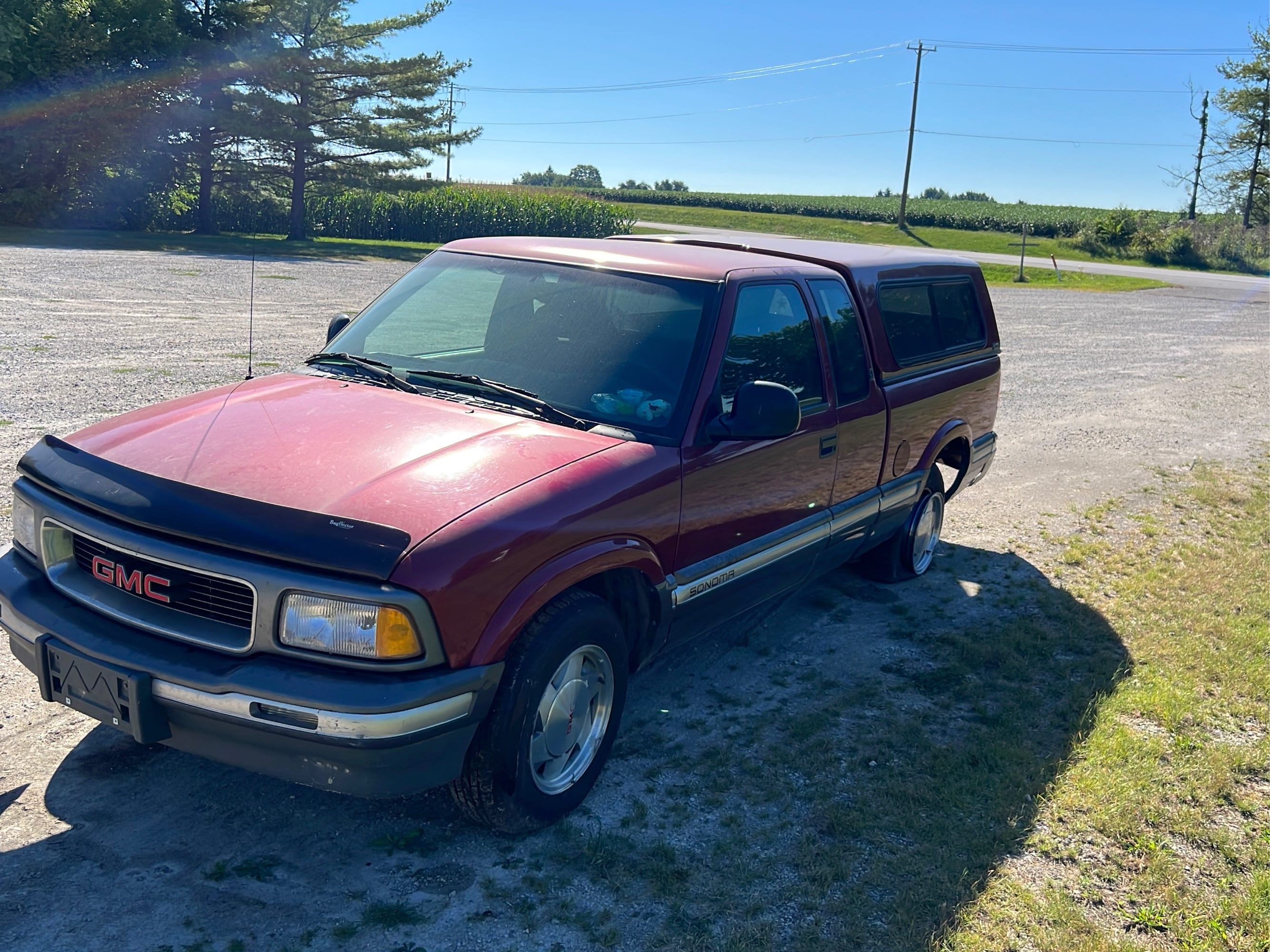 Online Bidding Available!