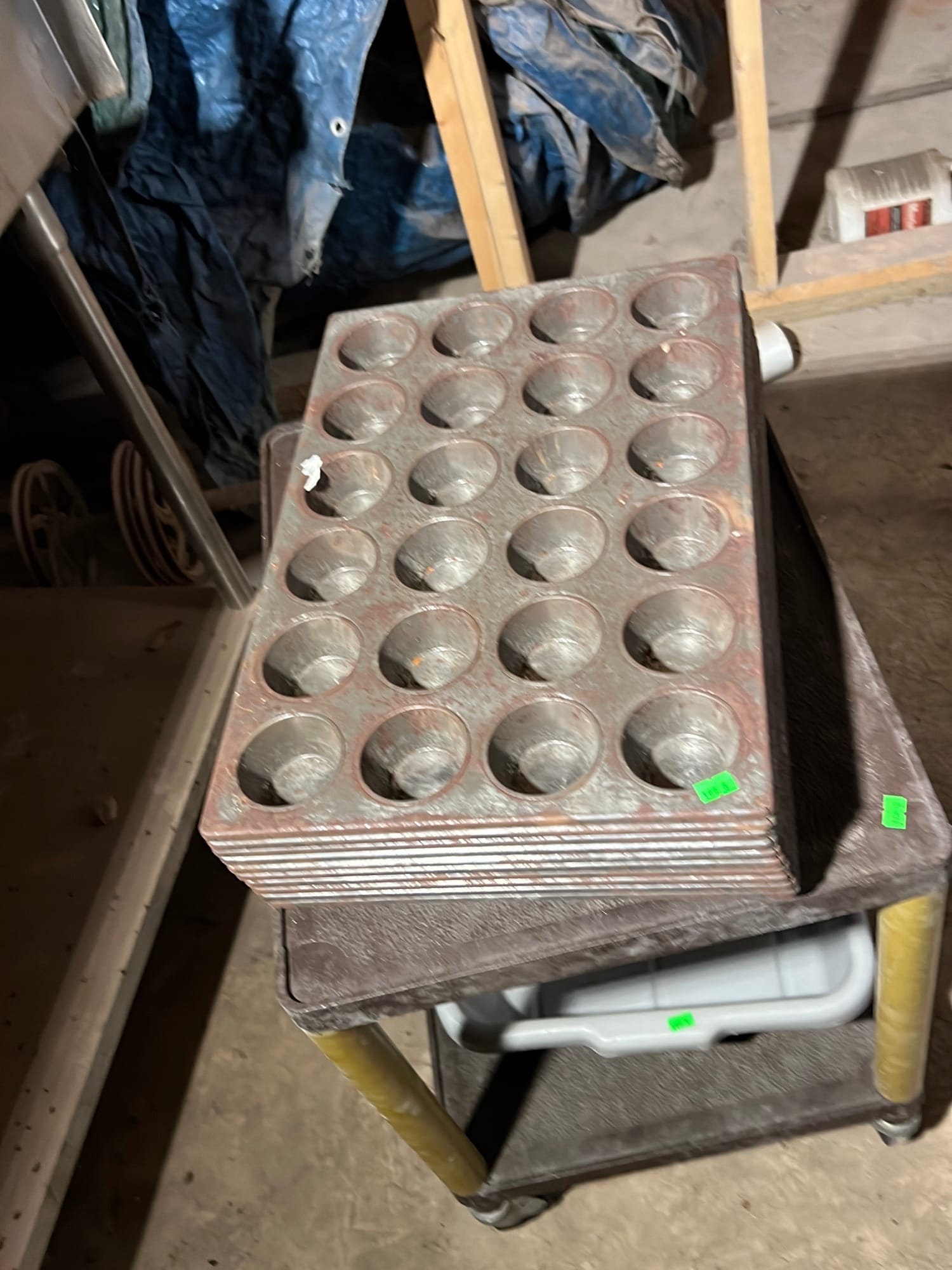 Online Bidding Available!