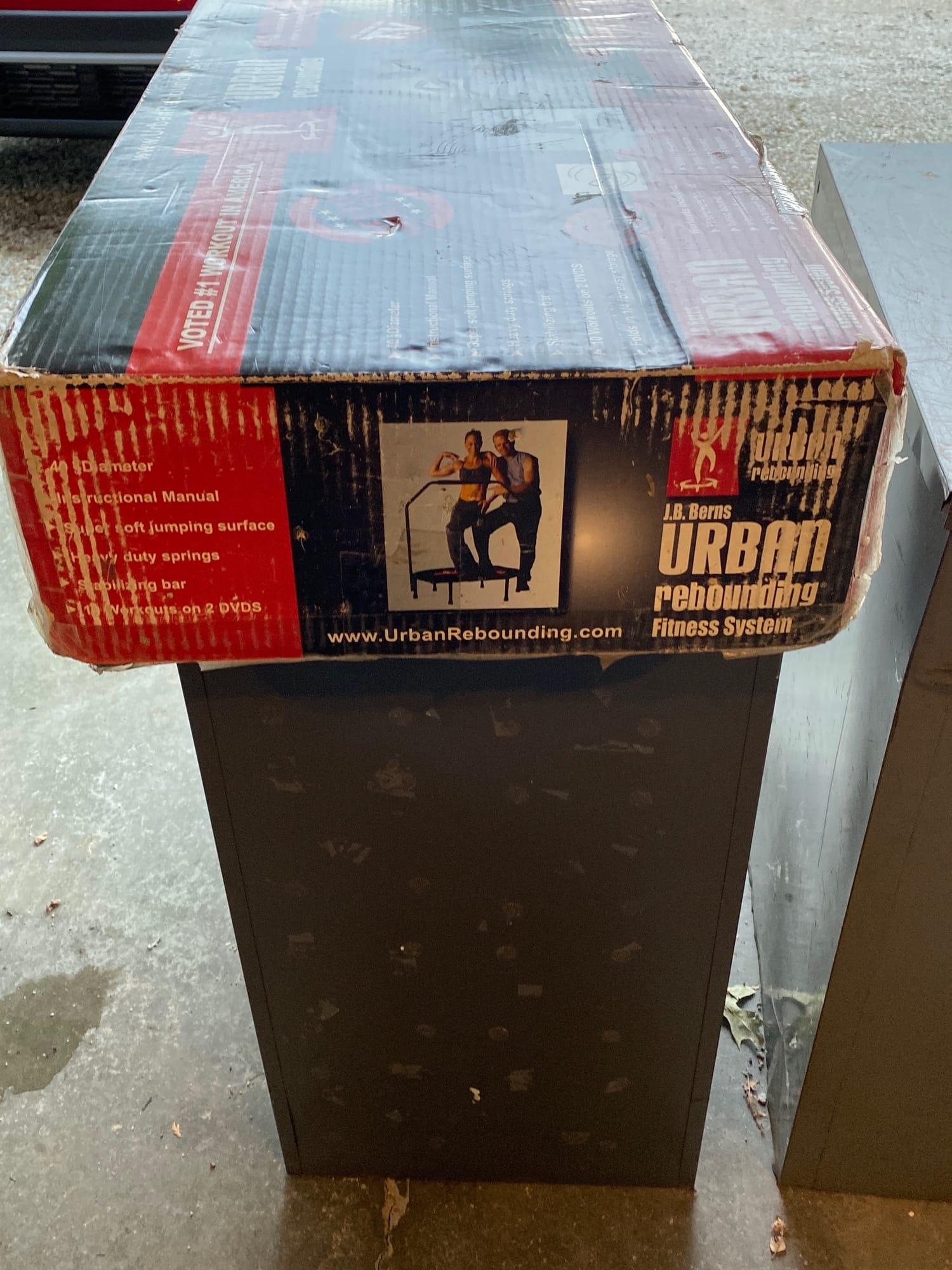 Online Bidding Available!