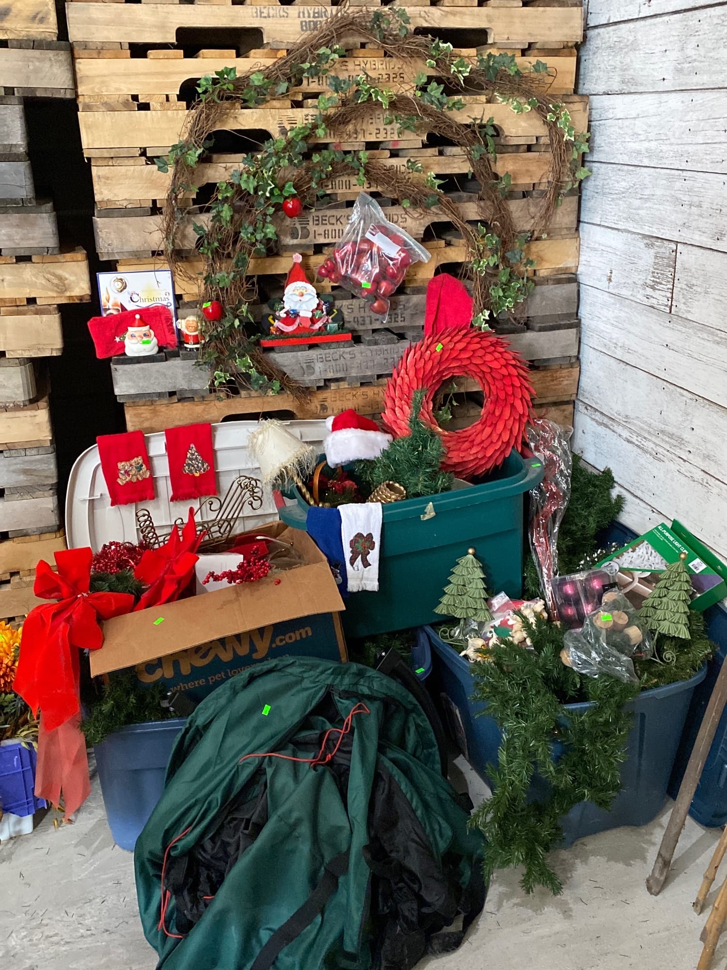 Online Bidding Available!