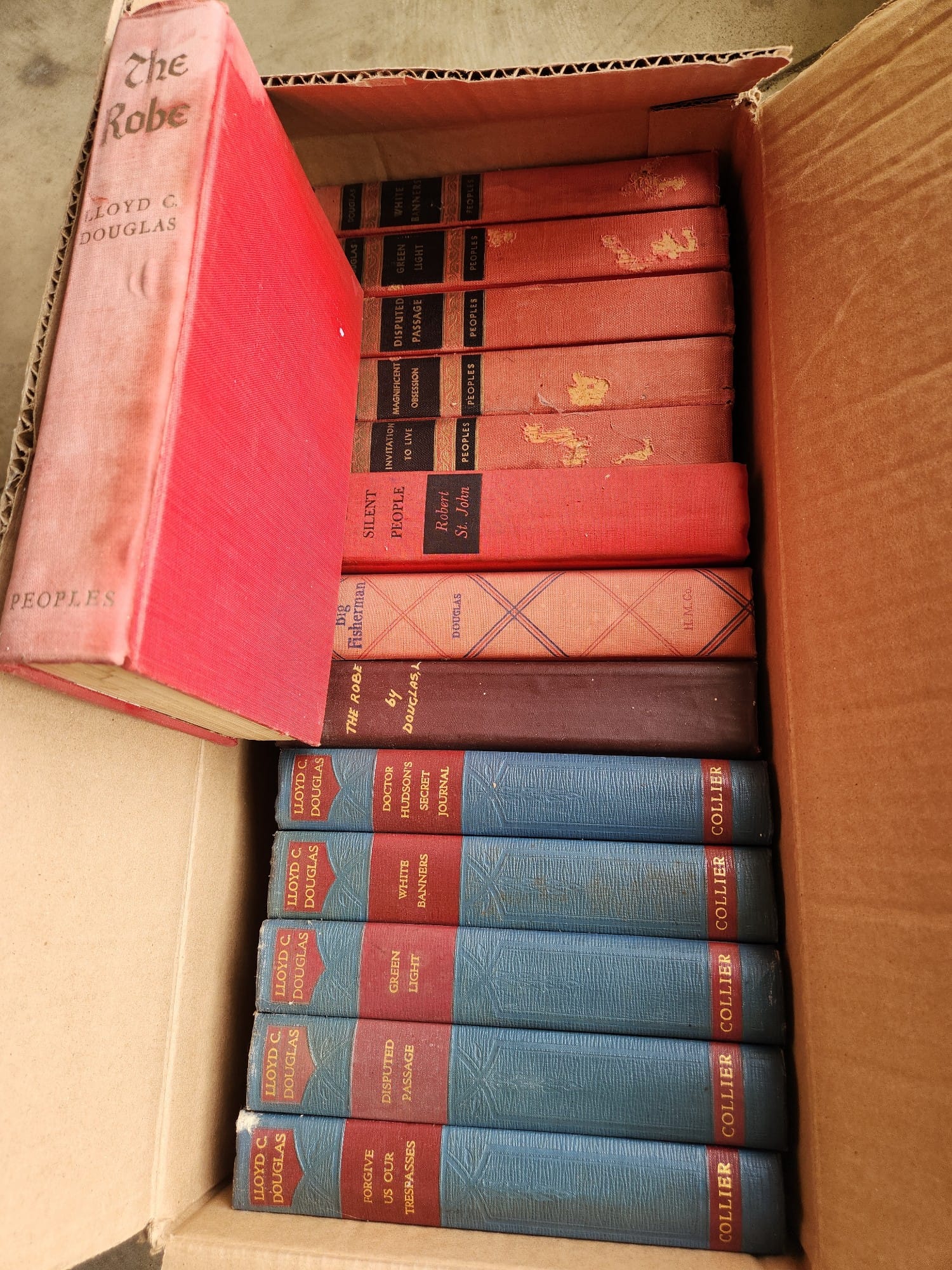 Online Bidding Available!