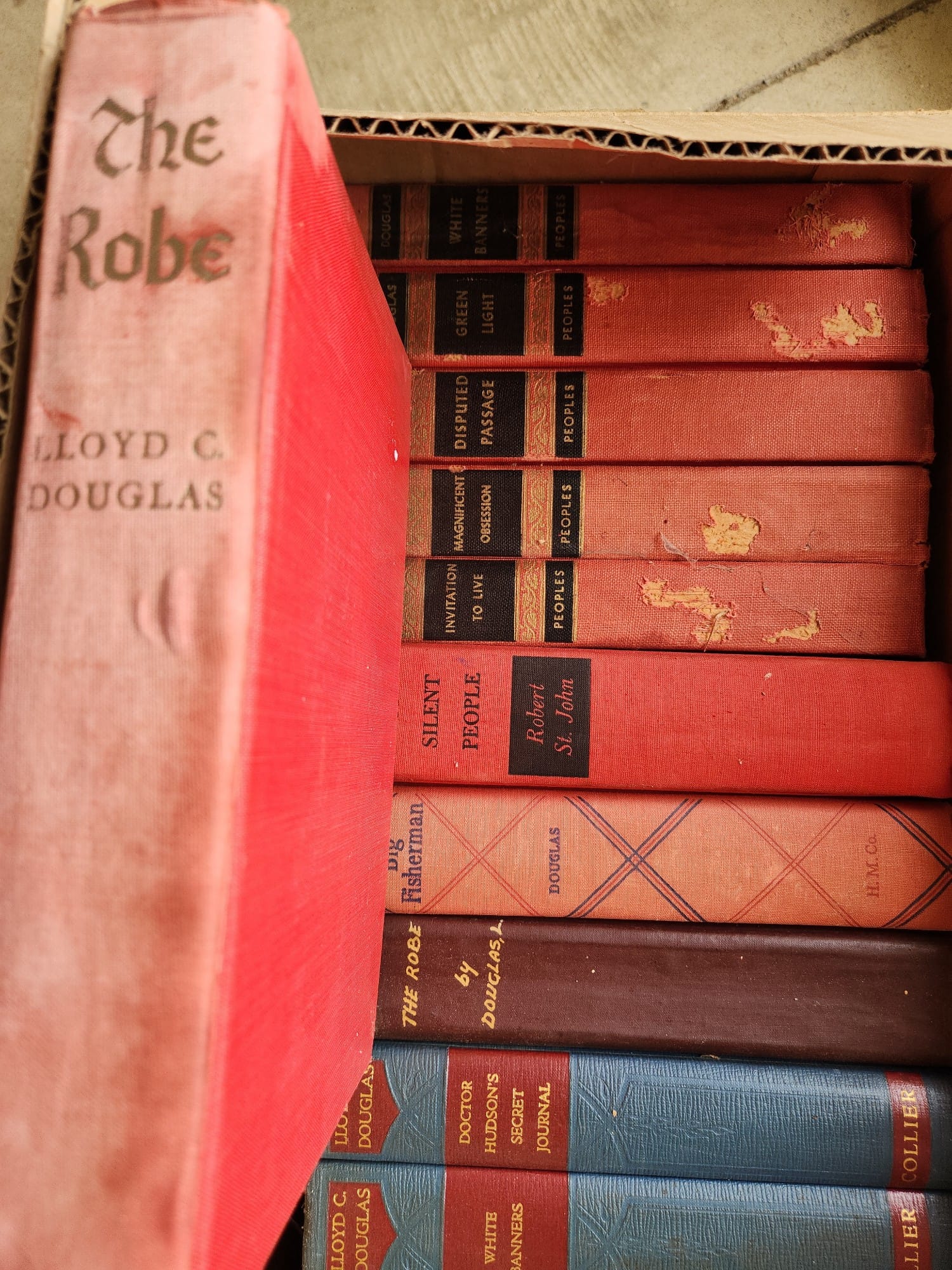 Online Bidding Available!