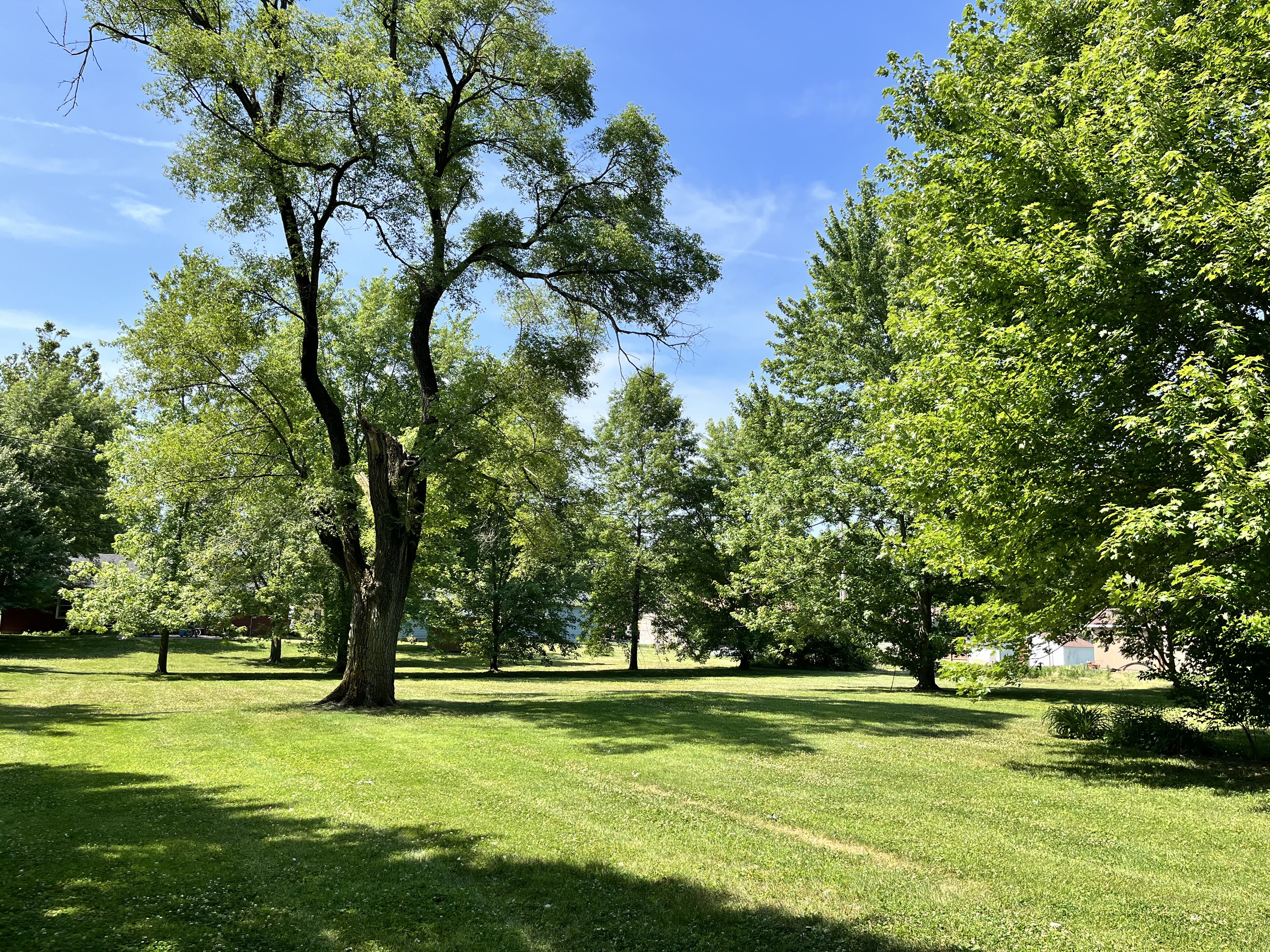Grant Street vacant lot