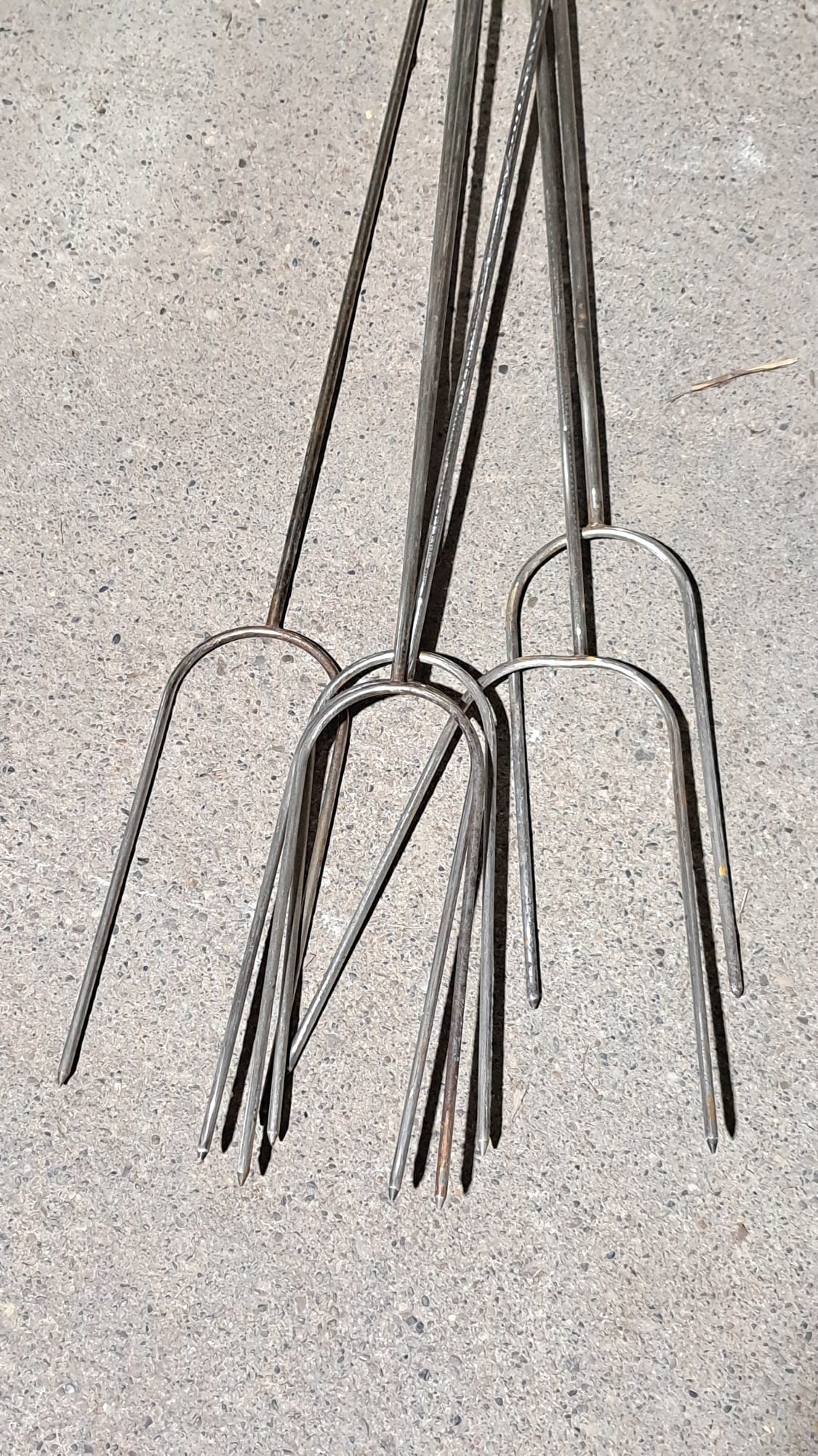 Online Bidding Only!