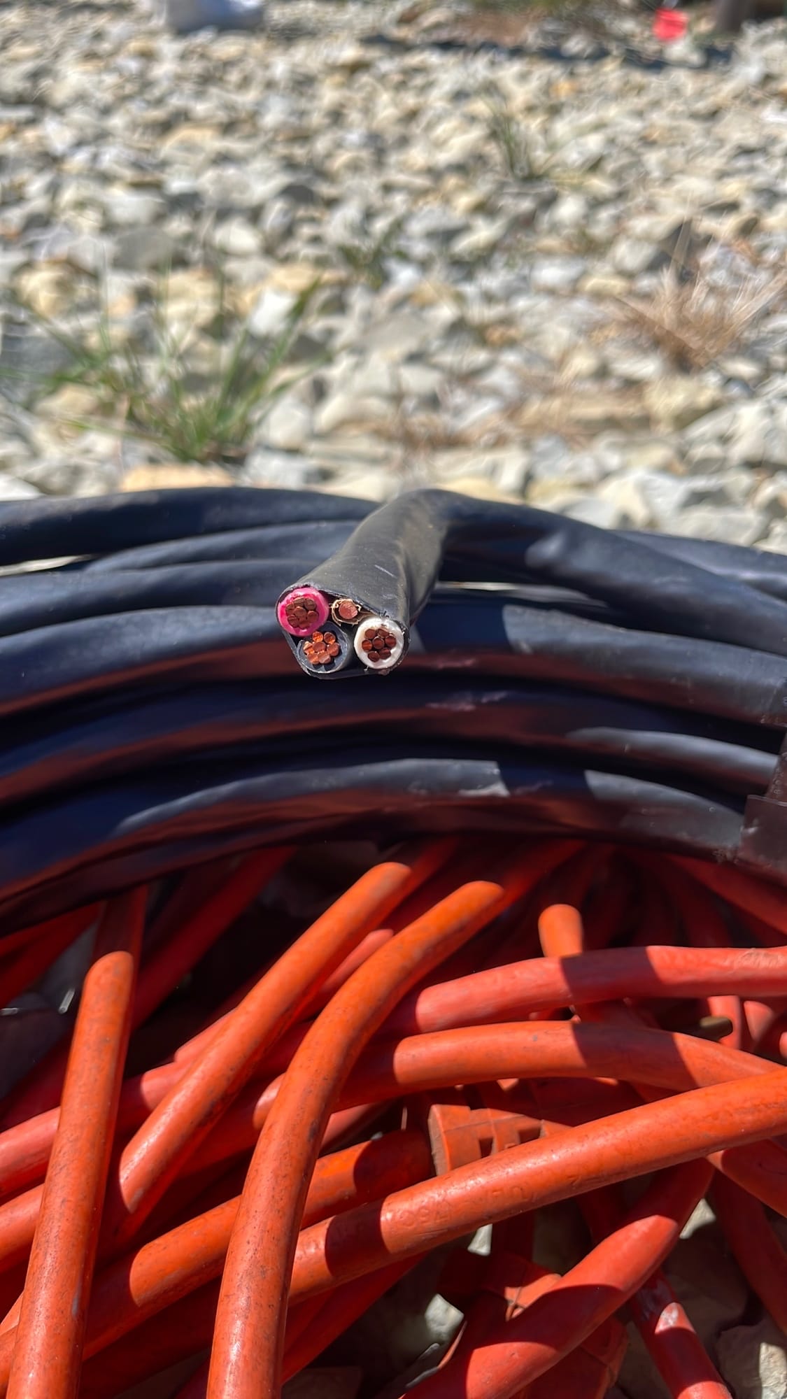 Online Bidding Only!