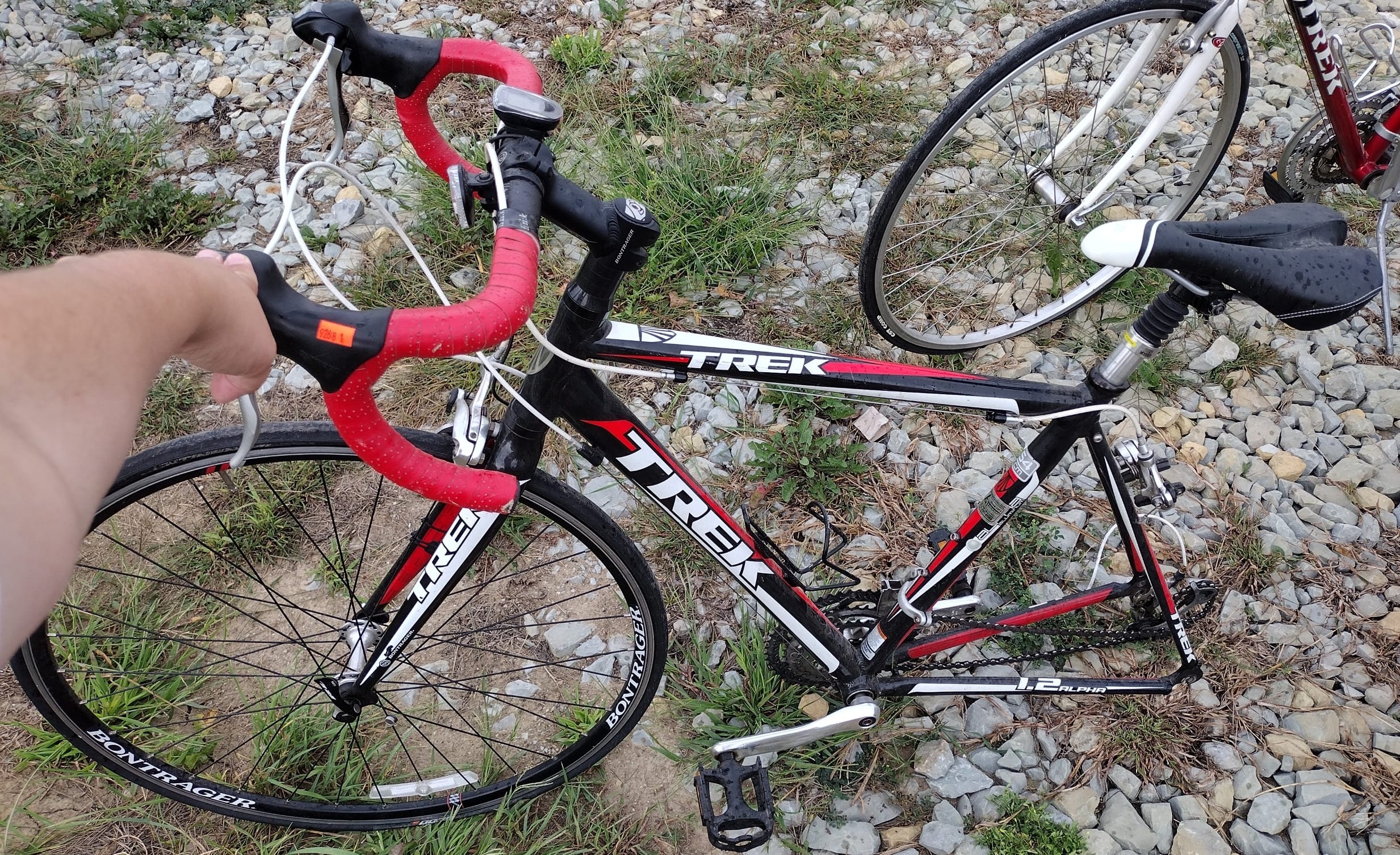 Online Bidding Only!