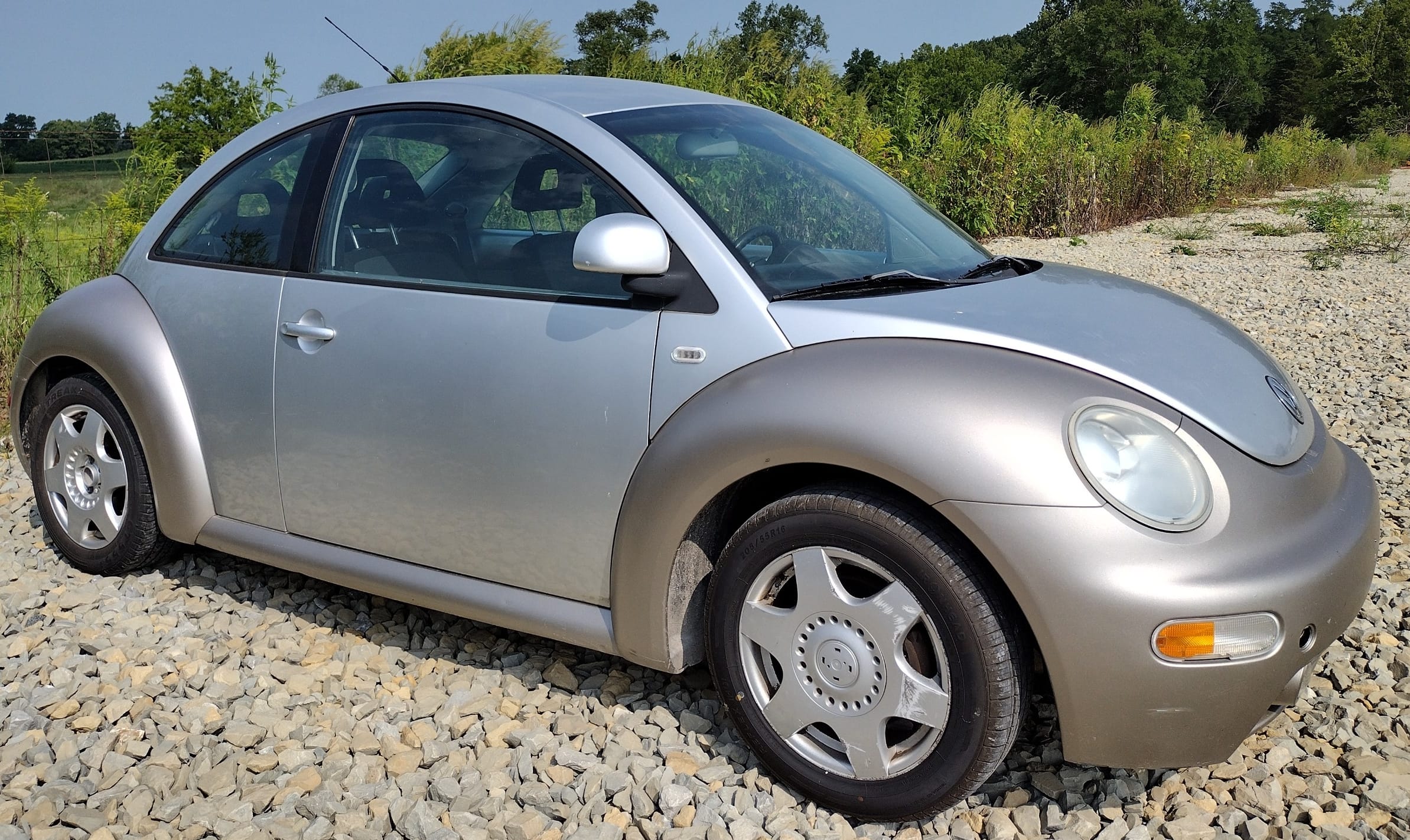 Online Bidding Only!