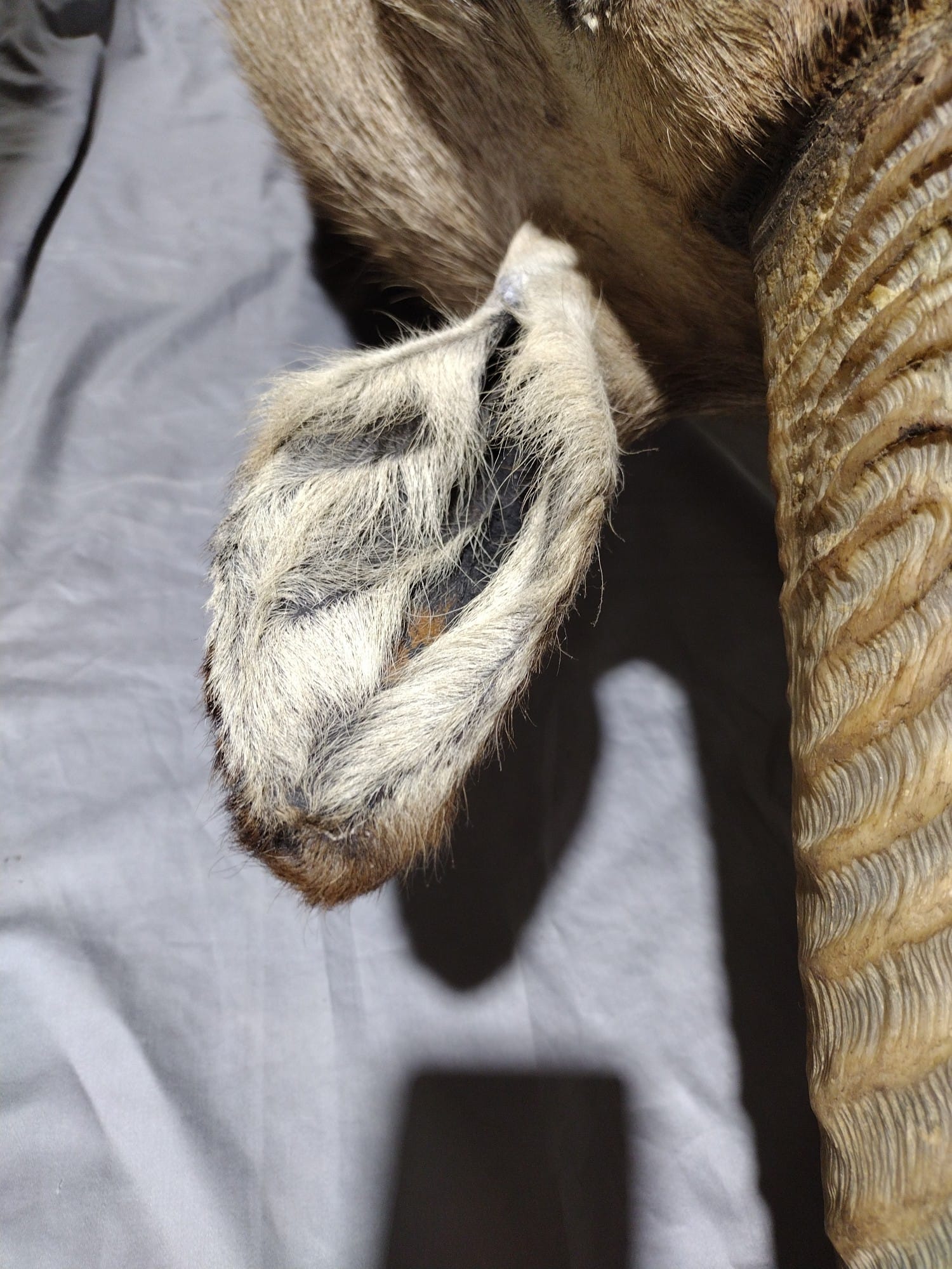 Online Bidding Only!