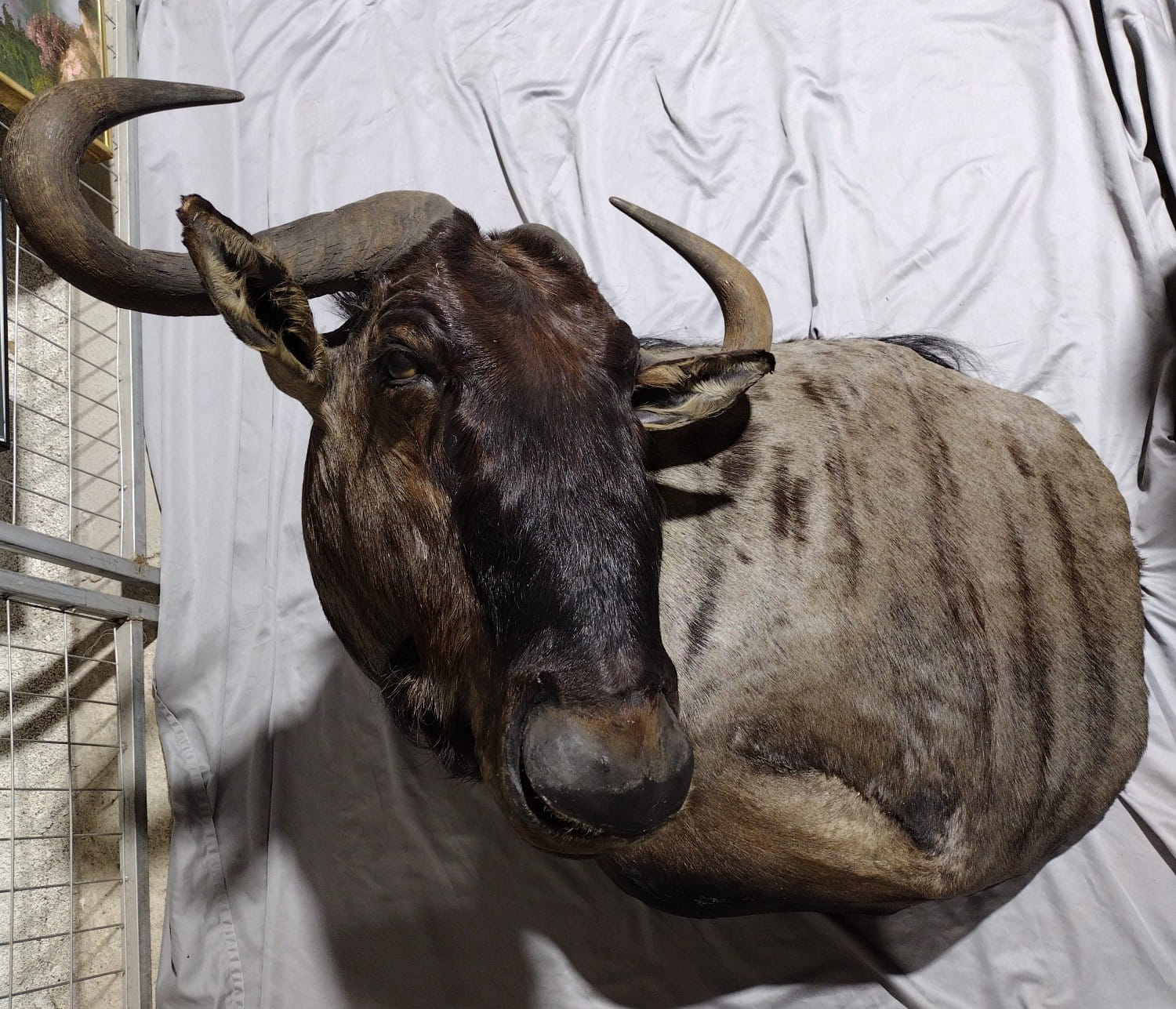 Online Bidding Only!